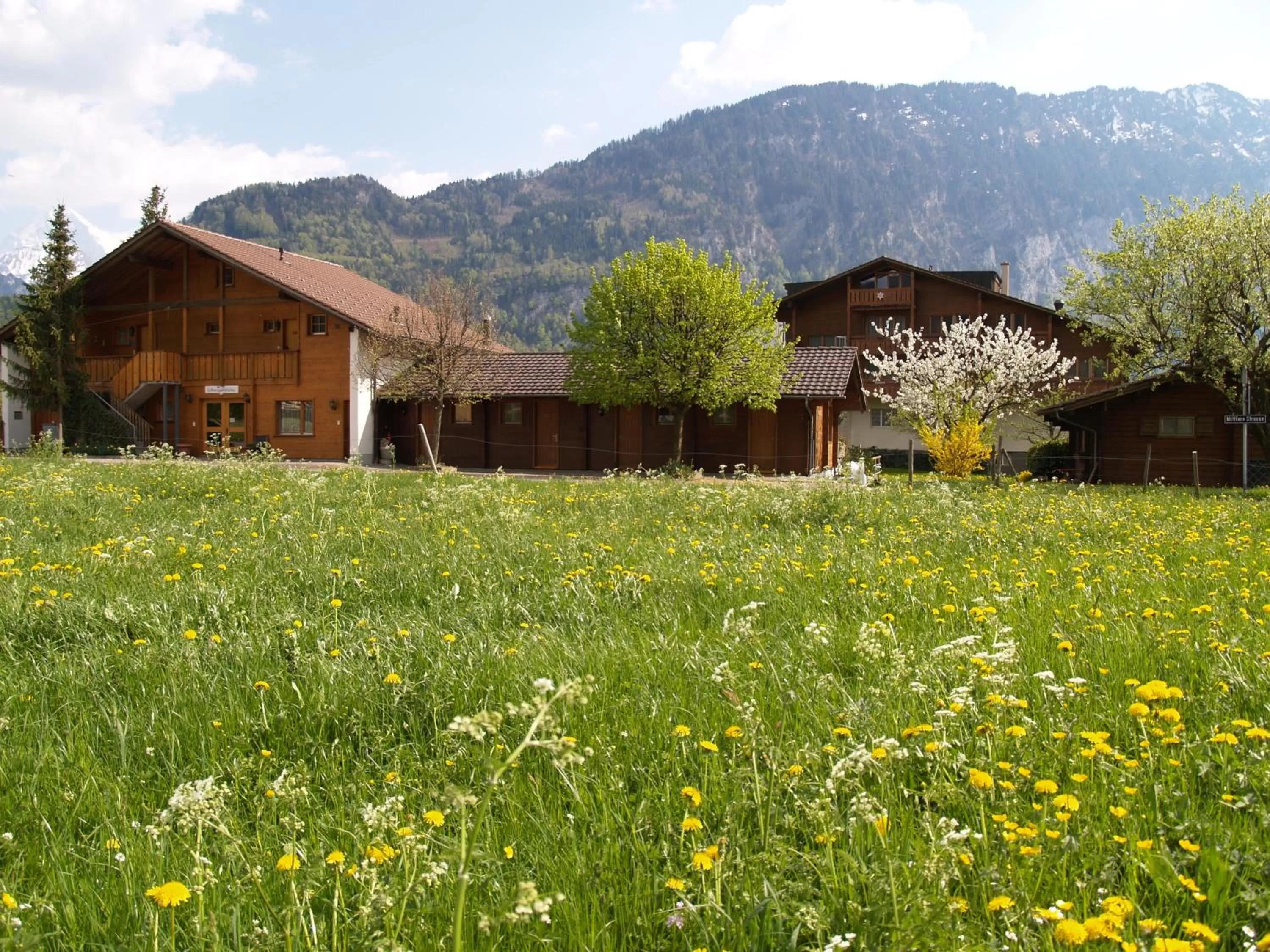 Double Room - single occupancy in Salzano Basic Rooms Interlaken