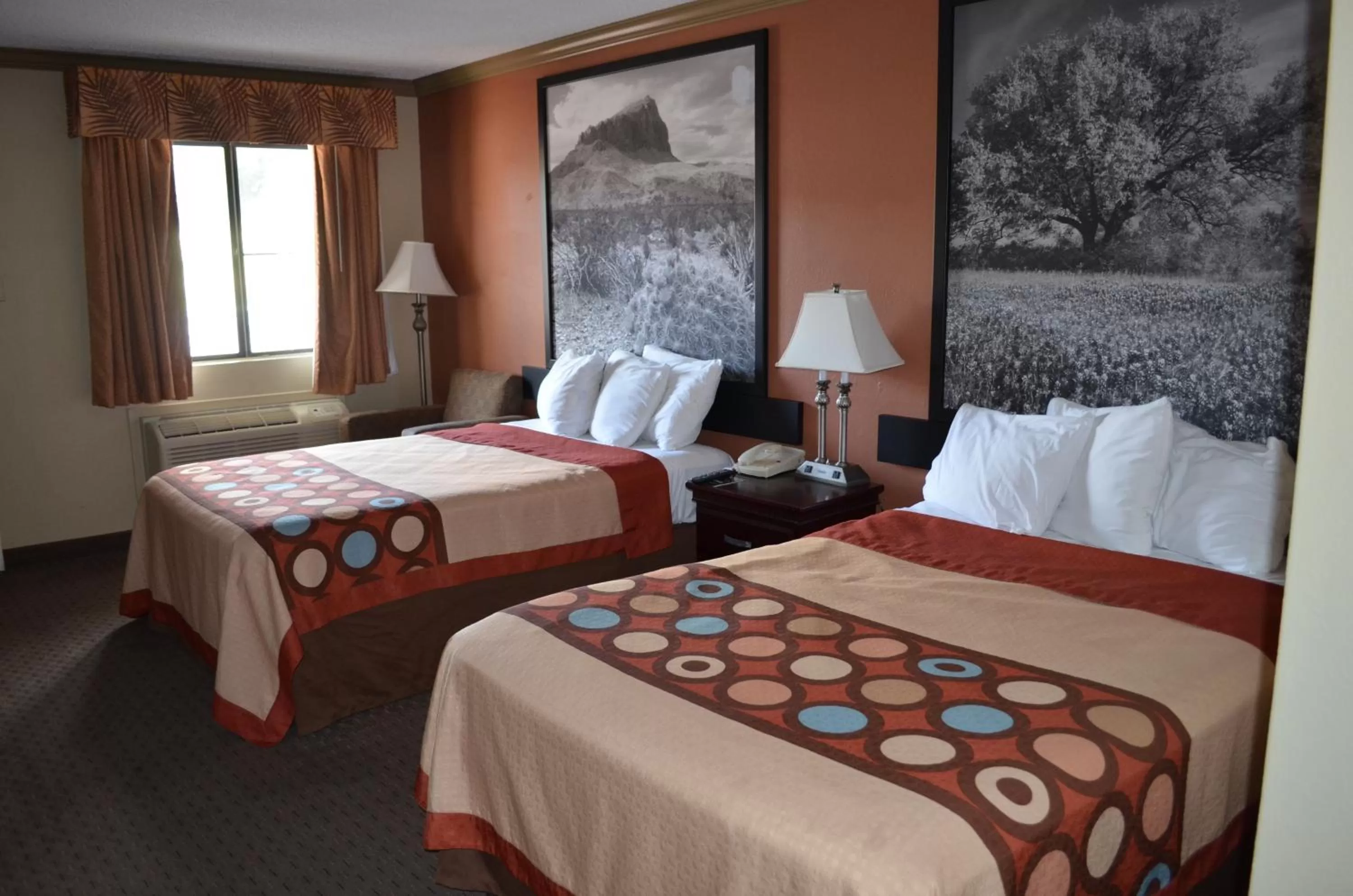 Budget Double Room-non-smoking in Hill Country Inn and Suite