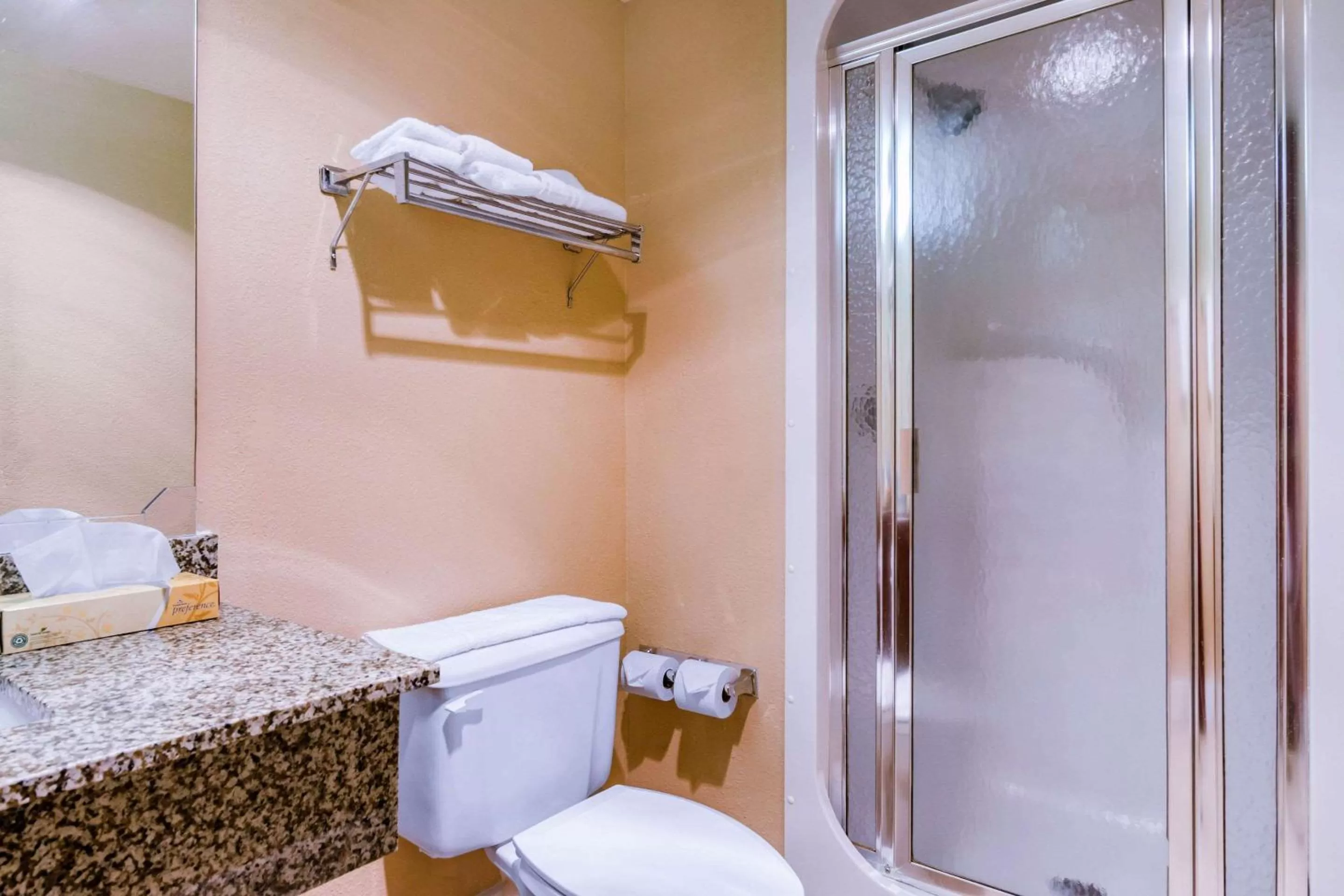 King Room - Non Smoking/Ground floor/Interior Hall/Pet Friendly in Quality Inn & Suites Carthage near Precious Moments Chapel