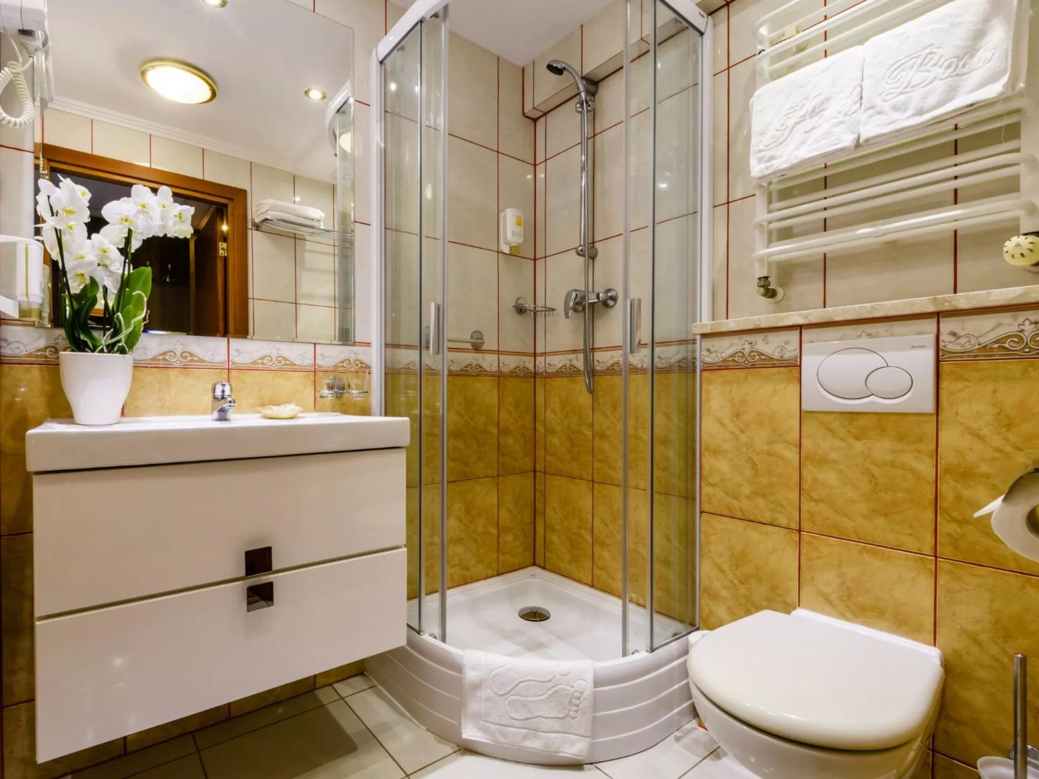 Double or Twin Room in Hotel Boss