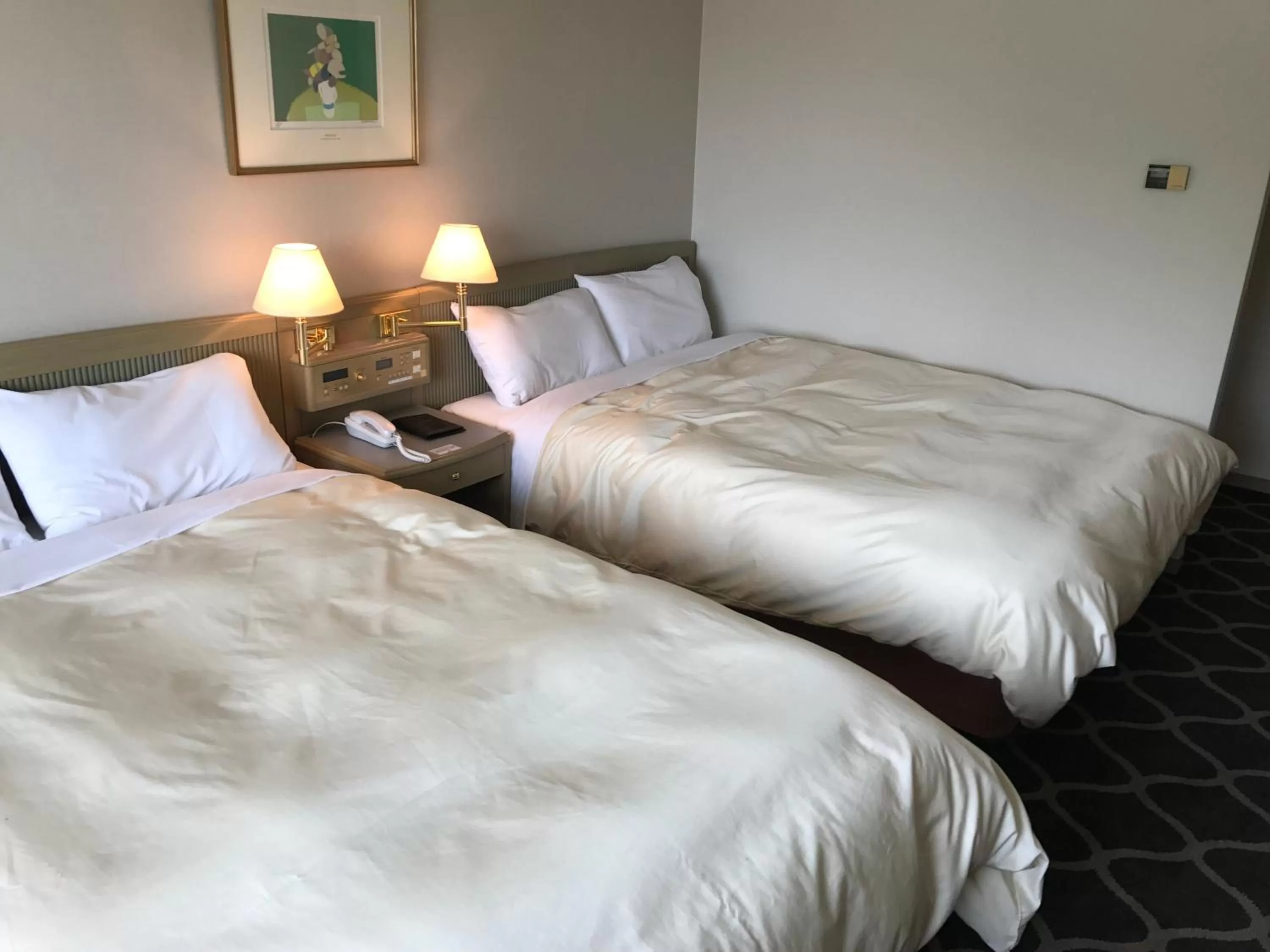 Superior Twin Room - Non-Smoking in Hotel Grand Terrace Chitose