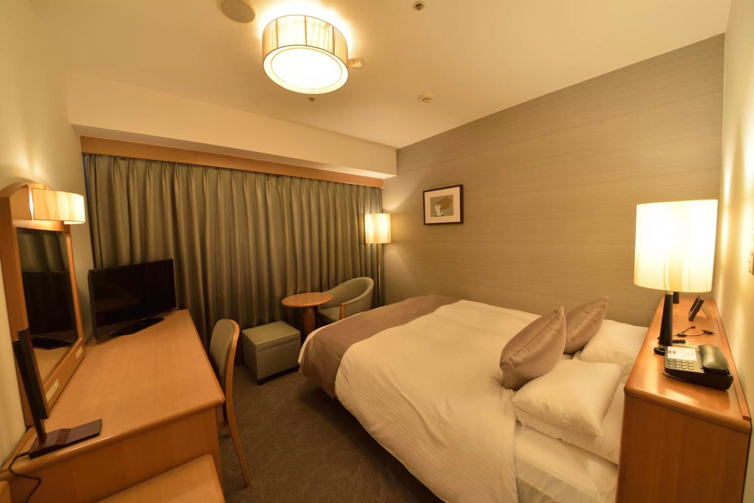 Economy Double Room - single occupancy - Non-Smoking in Okayama Koraku Hotel