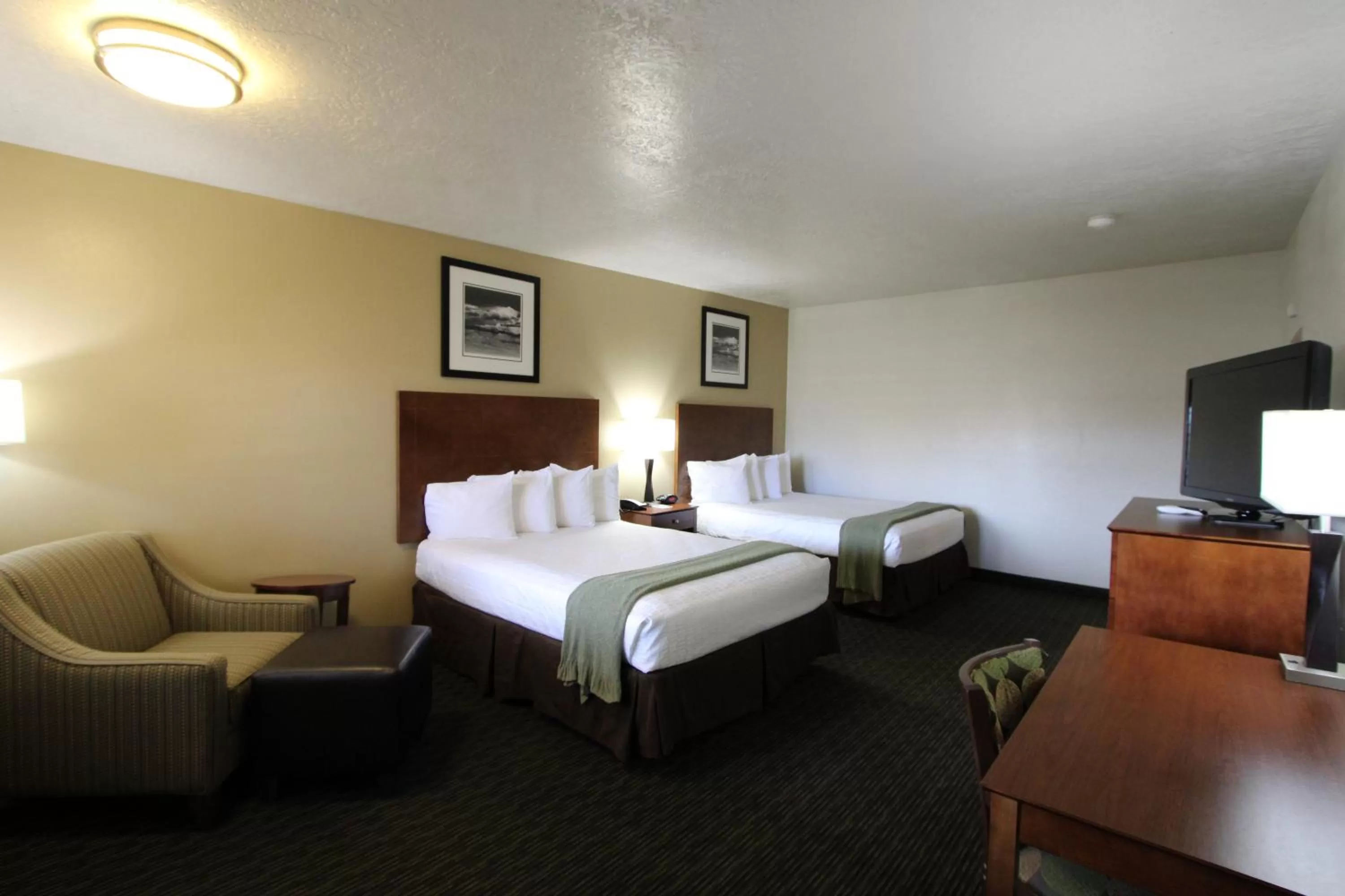 Deluxe Queen Room in Dinosaur Inn & Suites