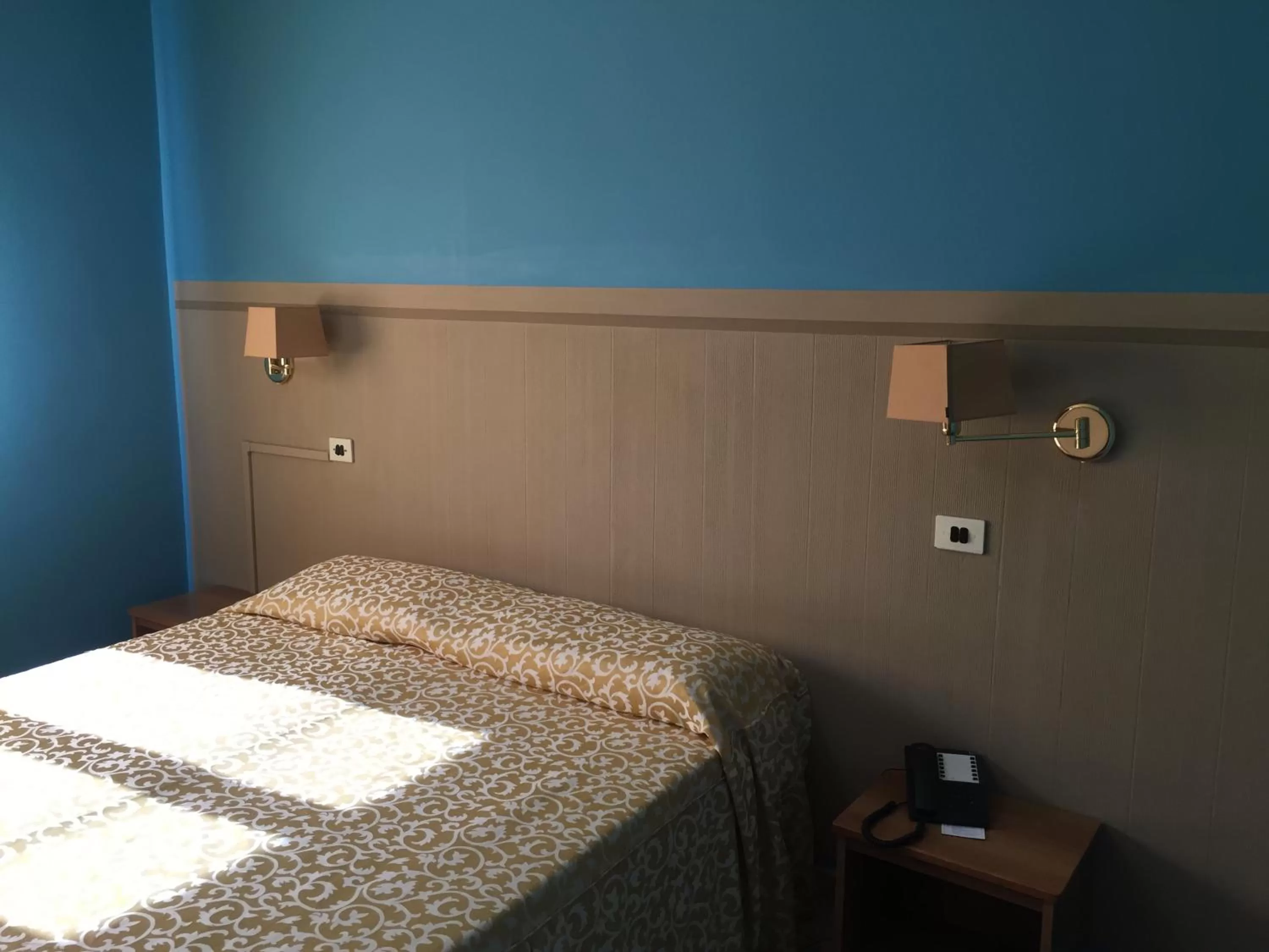 Superior Double Room in Hotel Plaza