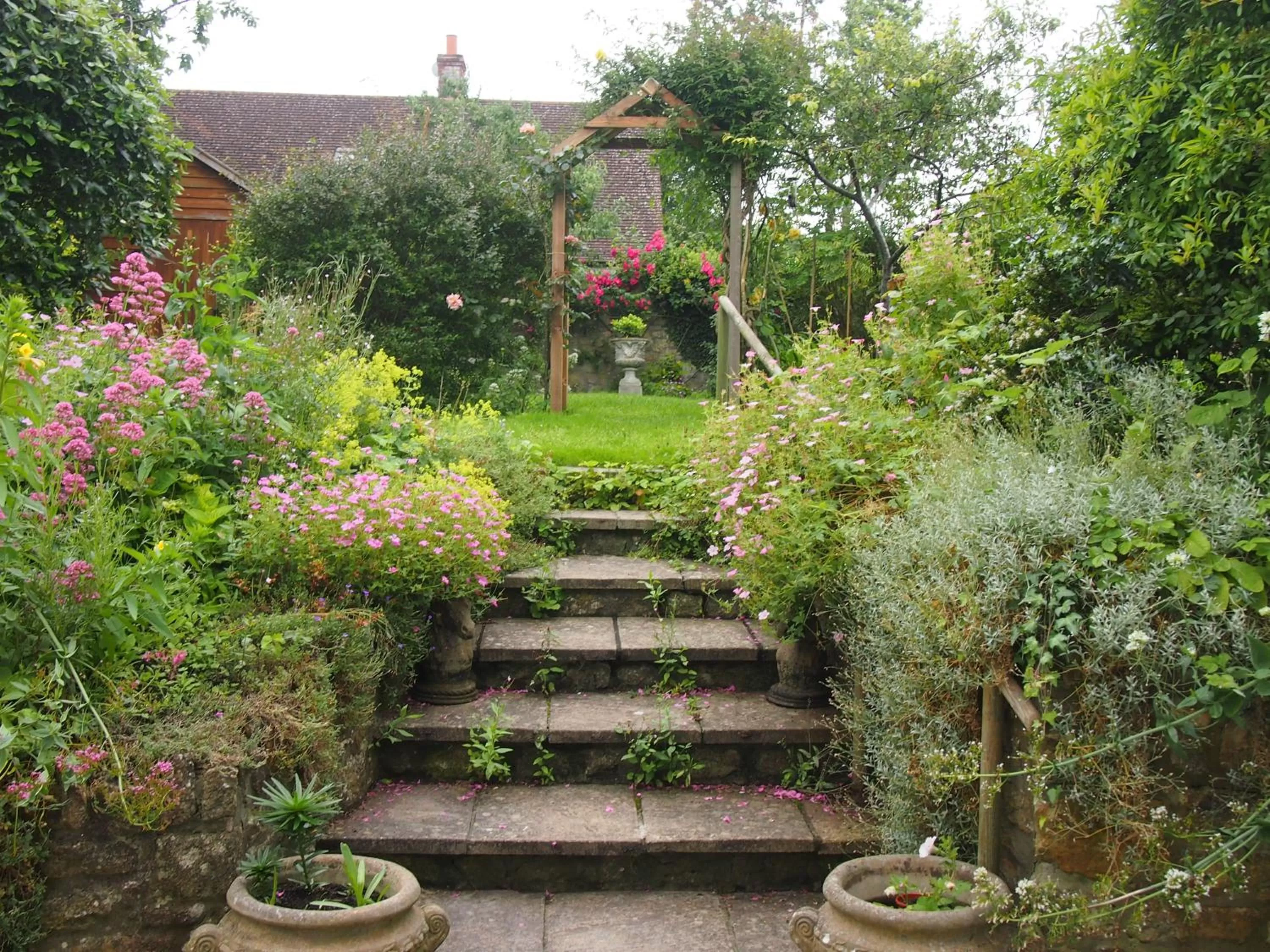 Property building in Clare Cottage