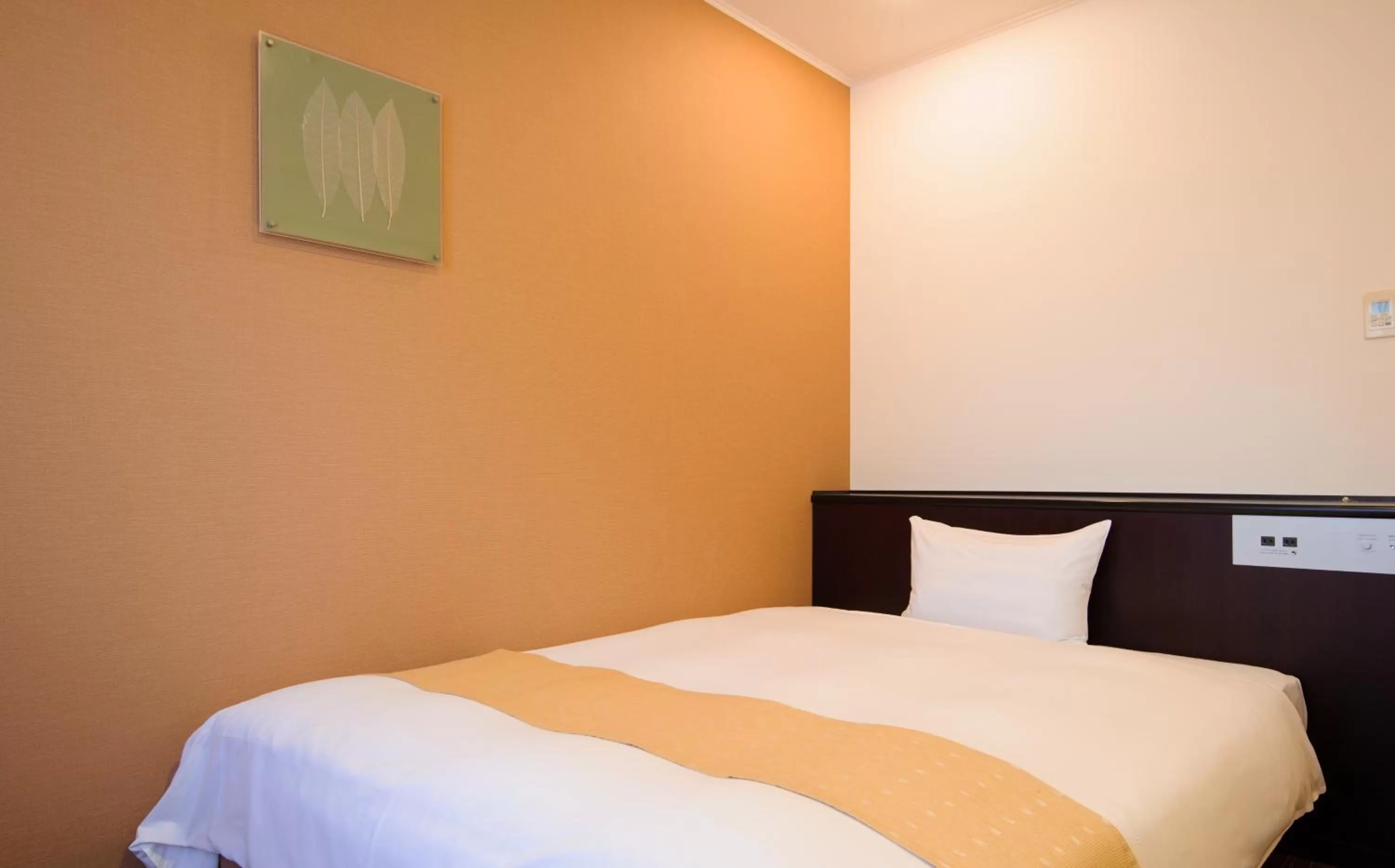 Queen Room - single occupancy - Non-Smoking in Chisun Hotel Utsunomiya