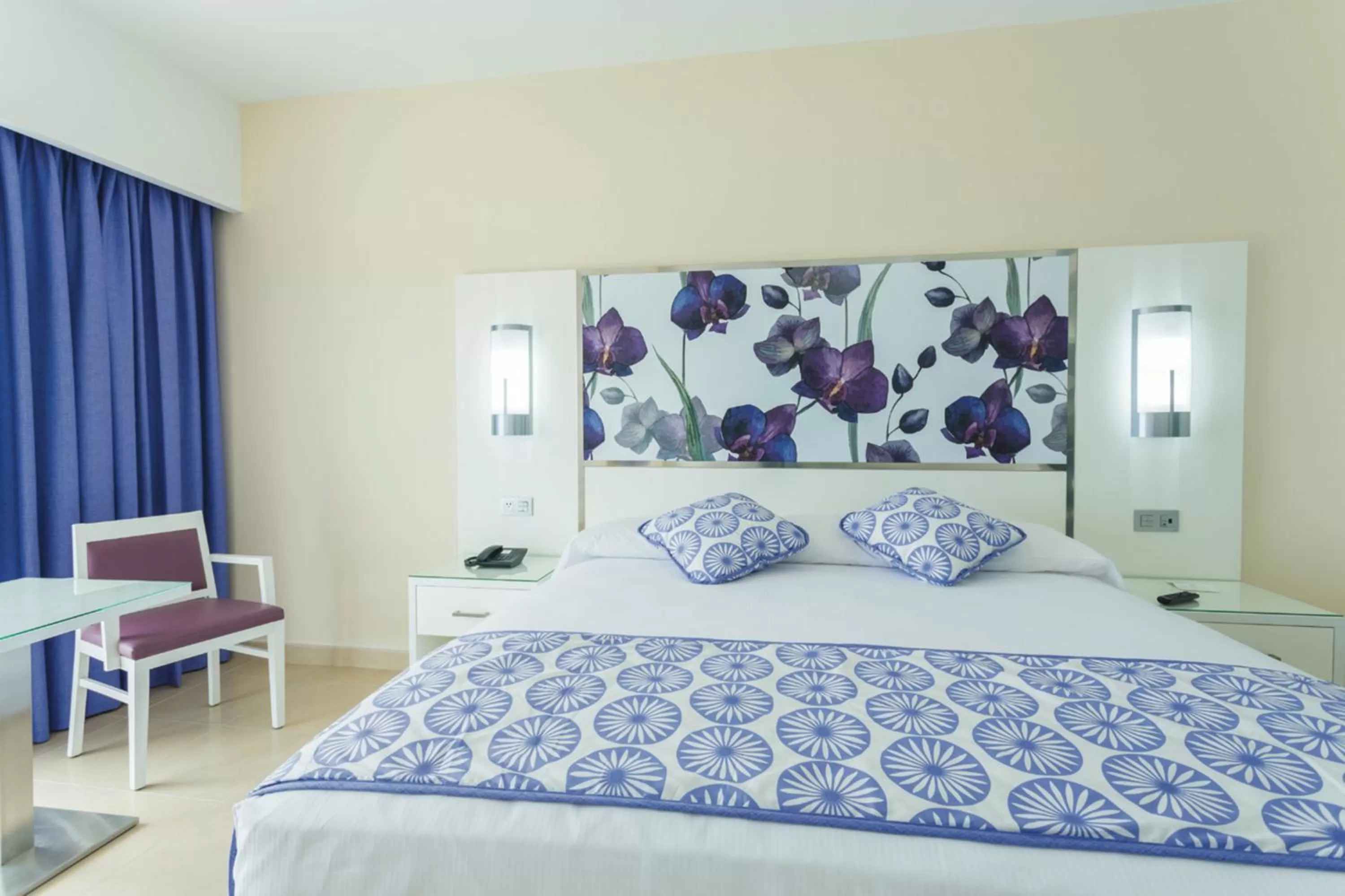 Double Room in Riu Playacar - All Inclusive