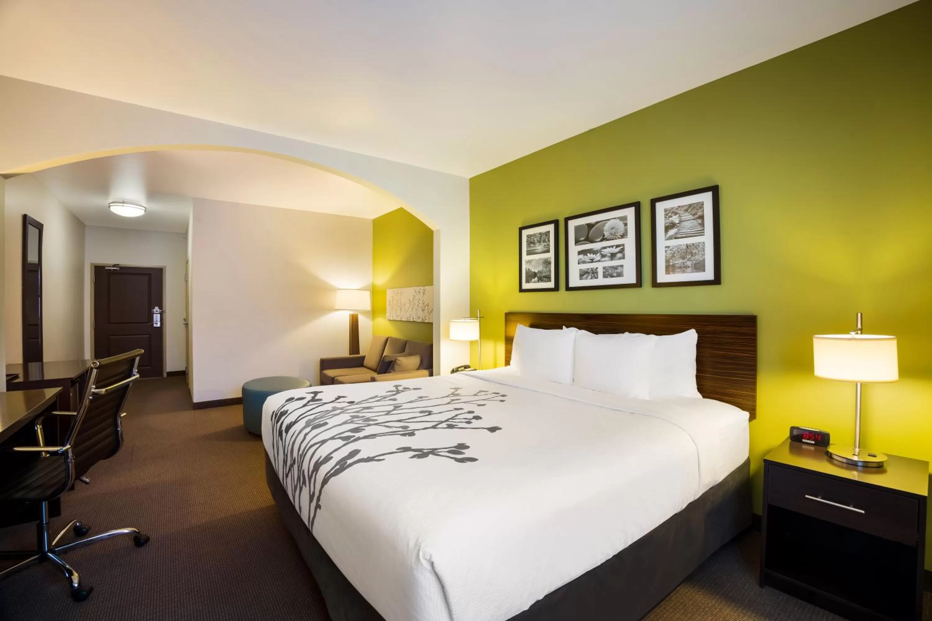 King Suite with Sofa Bed - Disability Access/Non-Smoking in Sleep Inn & Suites Colby