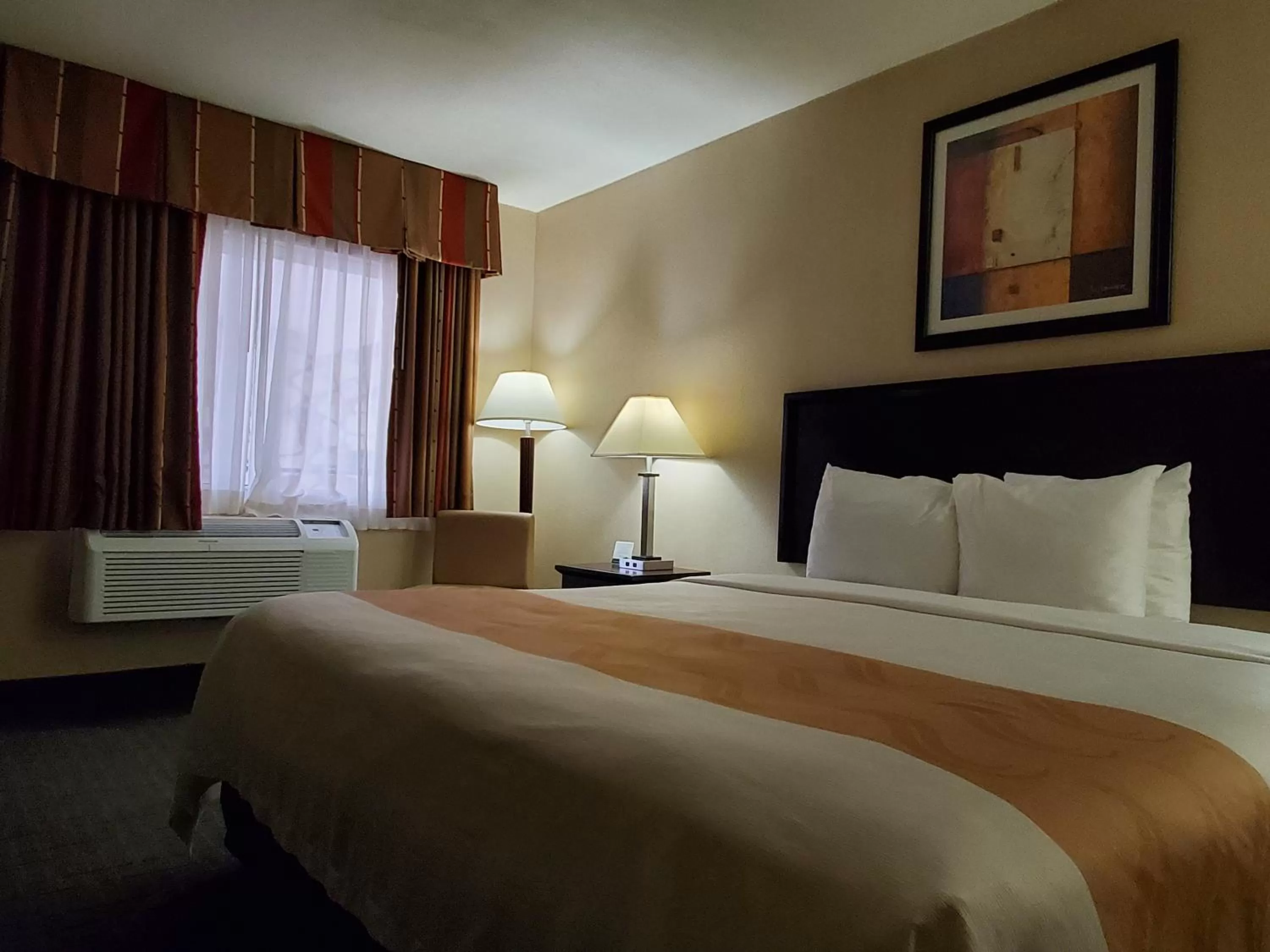 Standard Room, 1 King Bed, Non Smoking in Quality Inn & Suites Anaheim at the Park