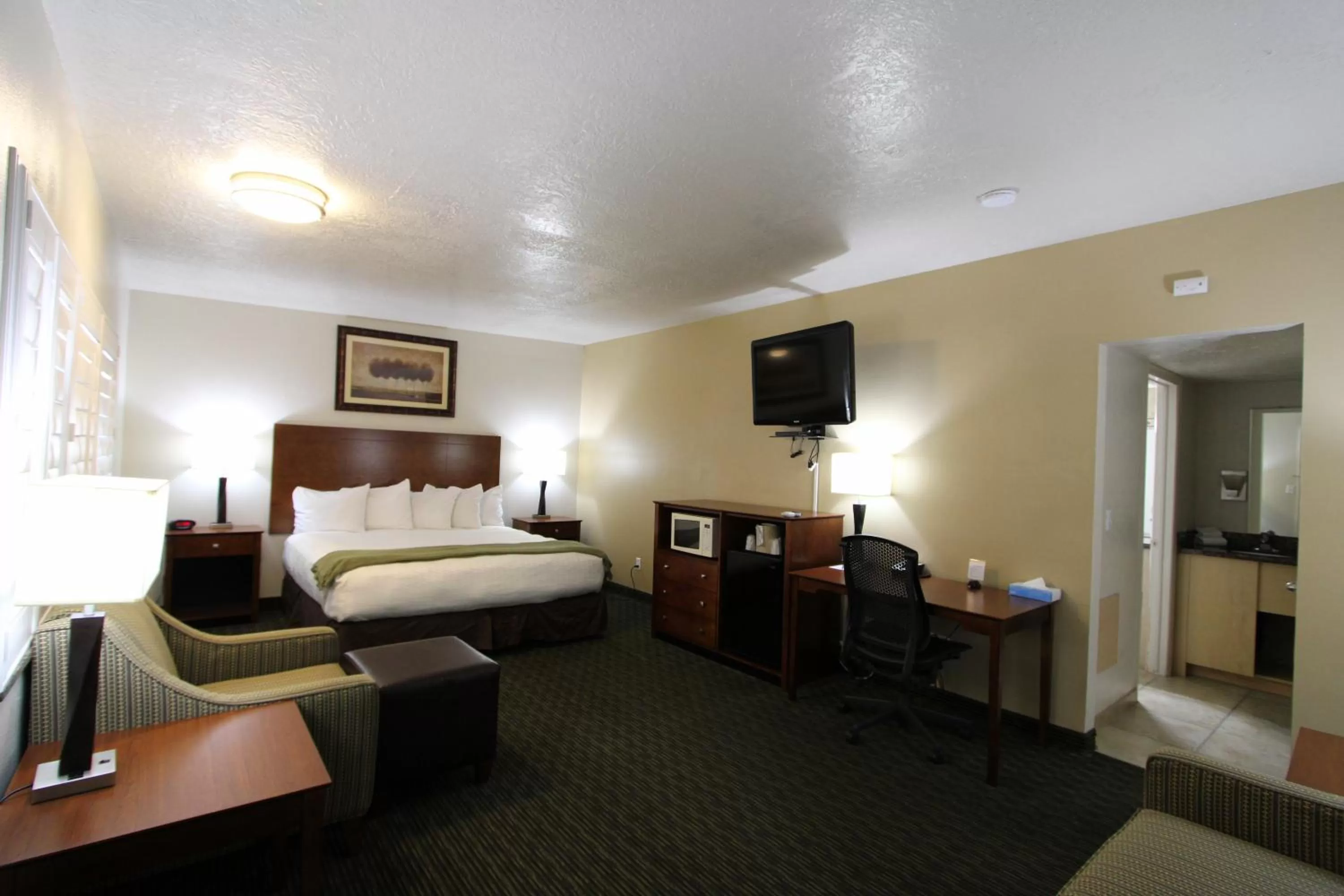 Deluxe King Room in Dinosaur Inn & Suites
