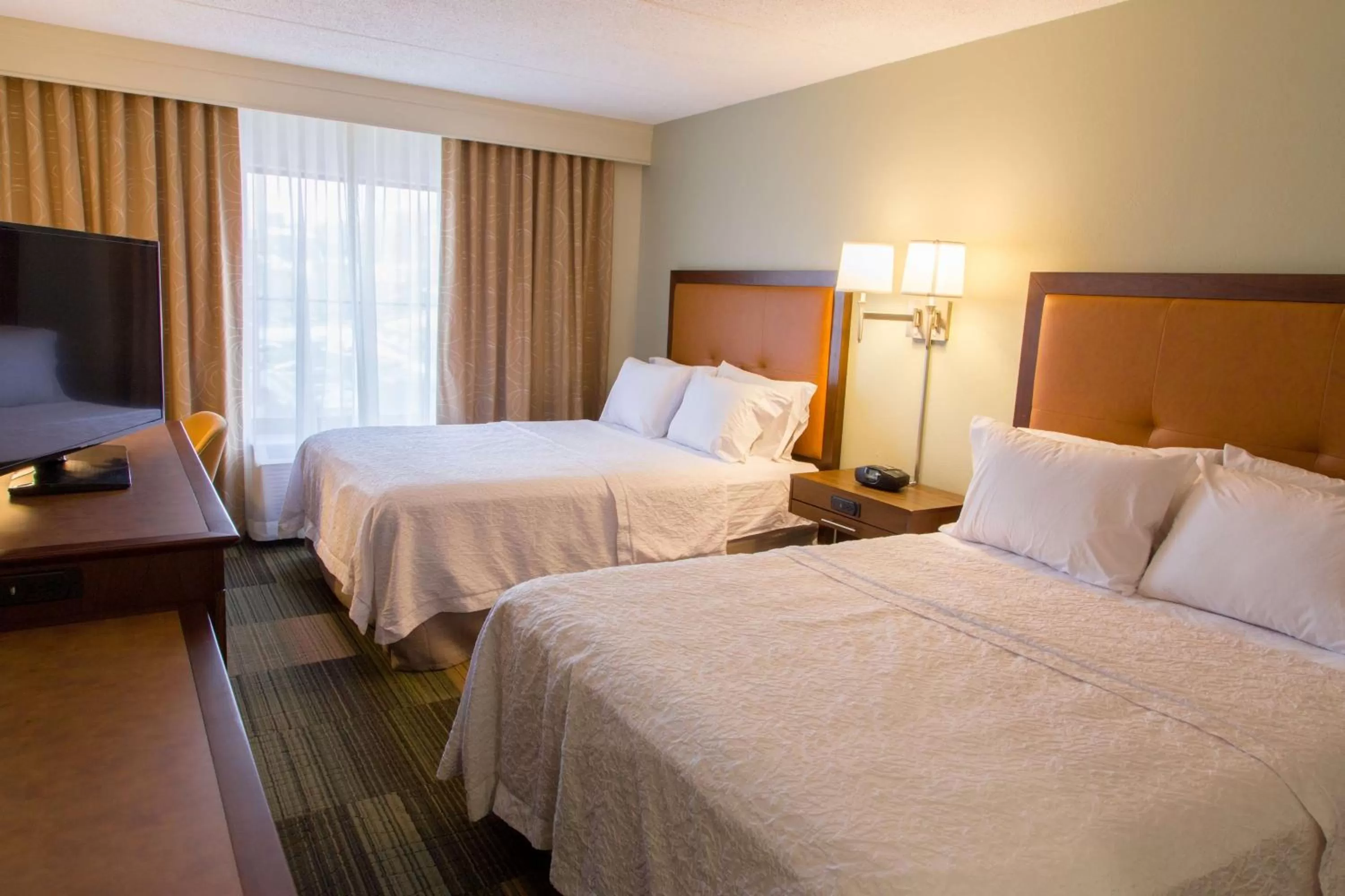 Queen Room with Two Queen Beds - Mobility and Hearing Access/Non-Smoking in Hampton Inn & Suites Albany-Downtown