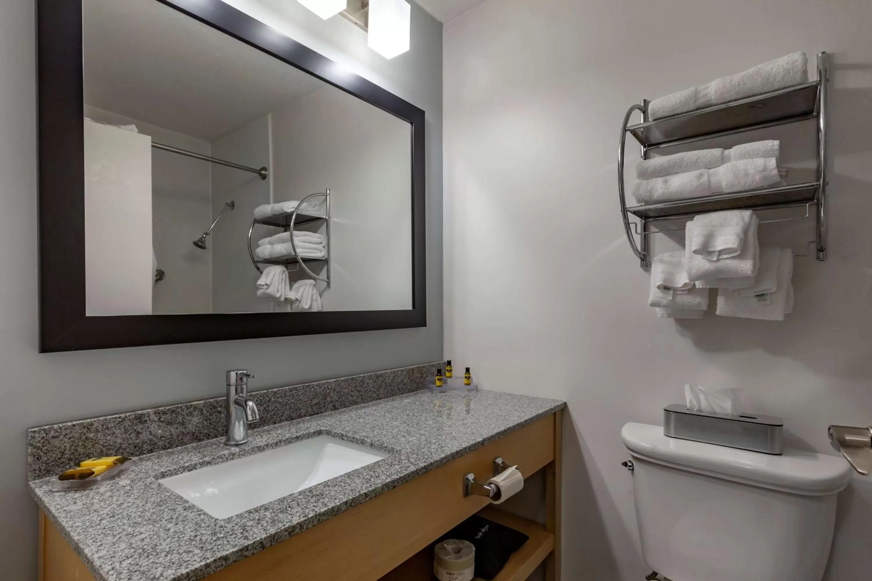 Queen Room with Kitchenette - Non-Smoking in Best Western Plus University Inn