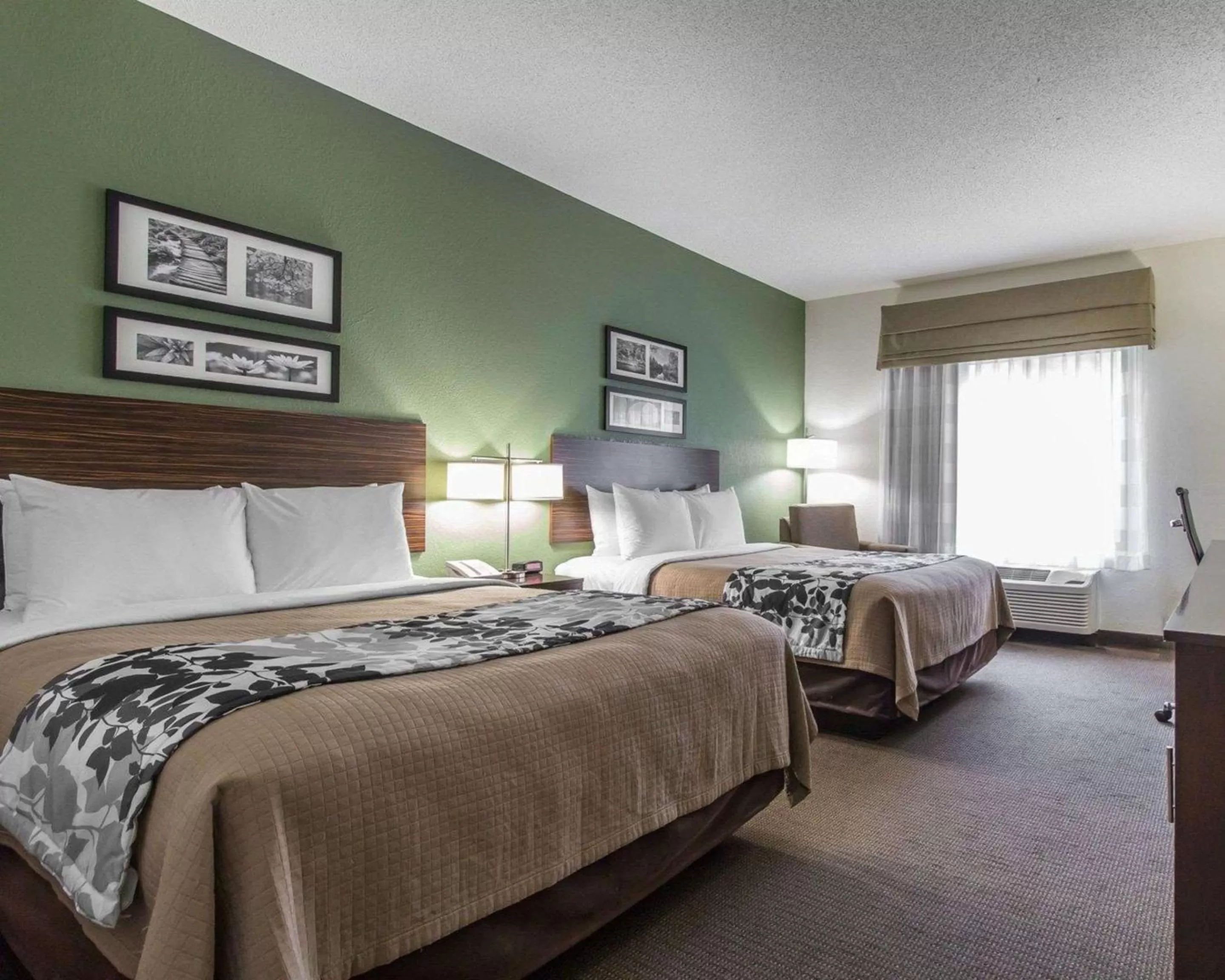 Queen Room with Two Queen Beds - Pet Friendly/Non-Smoking in Sleep Inn & Suites Middlesboro