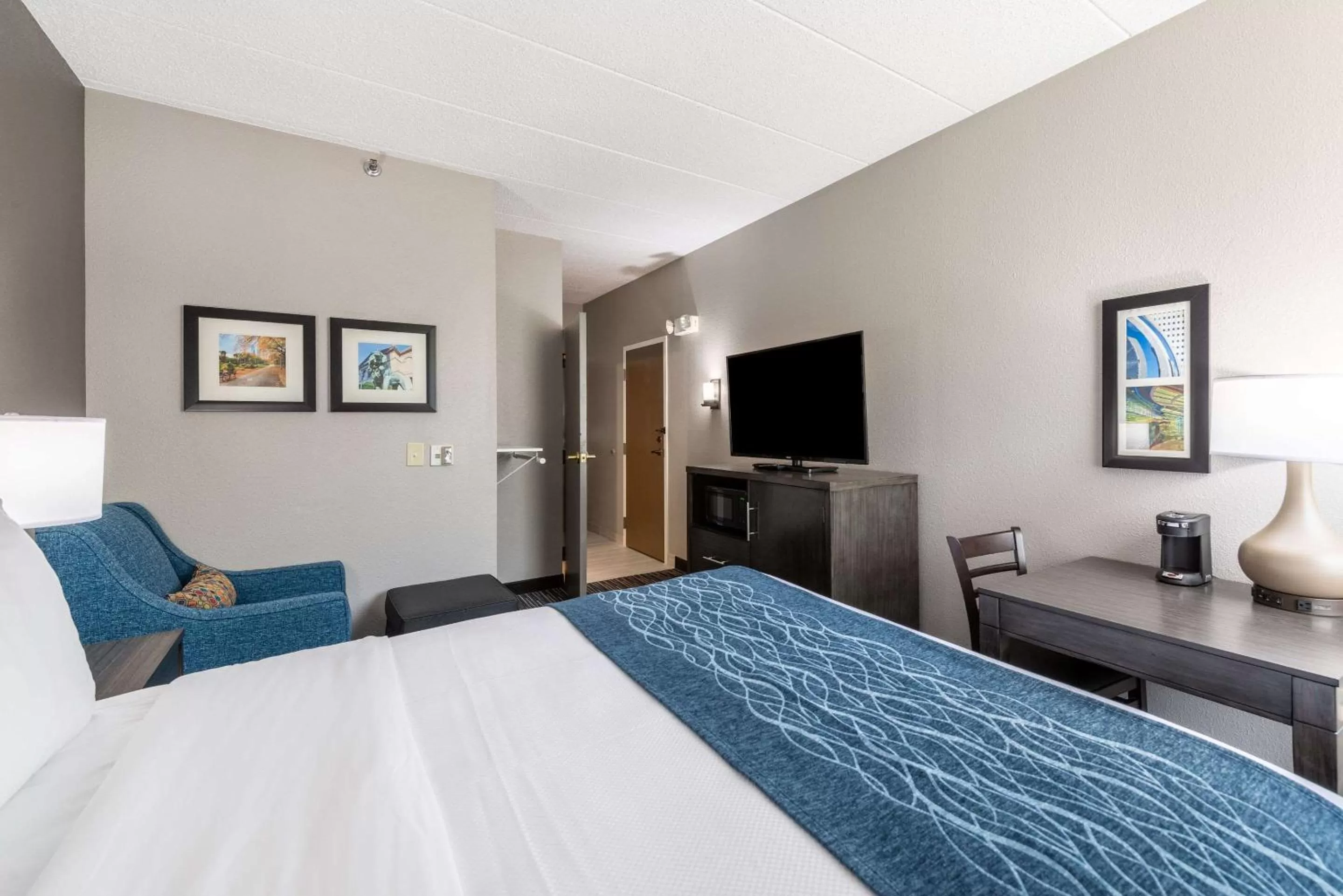 King Room - Accessible/Non-Smoking in Comfort Inn Chicago Schaumburg - O'Hare Airport