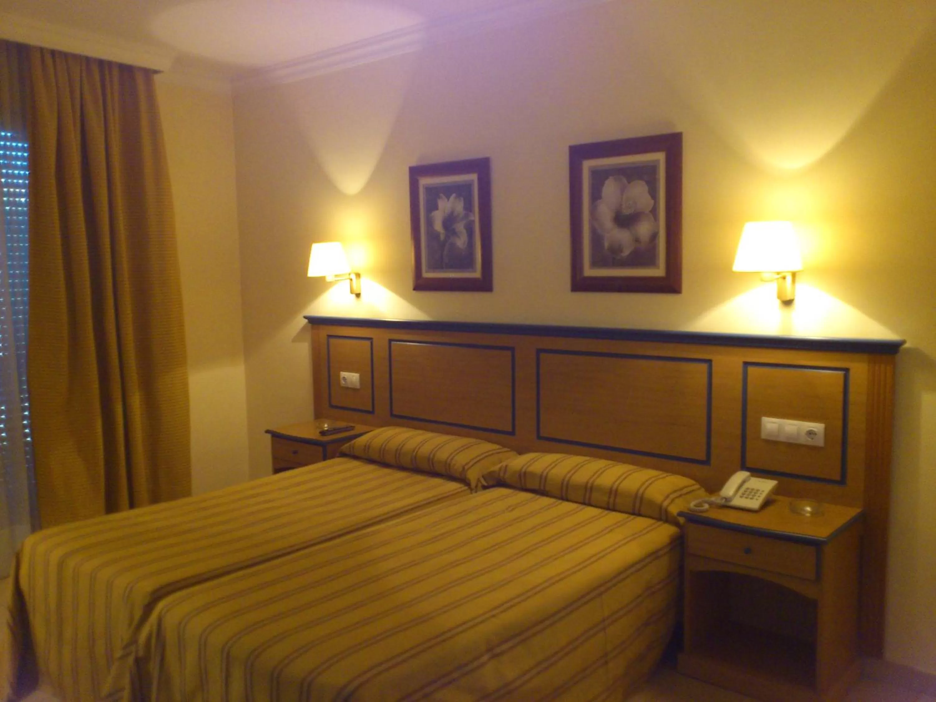 Standard Double or Twin Room - single occupancy in Hotel Mirador
