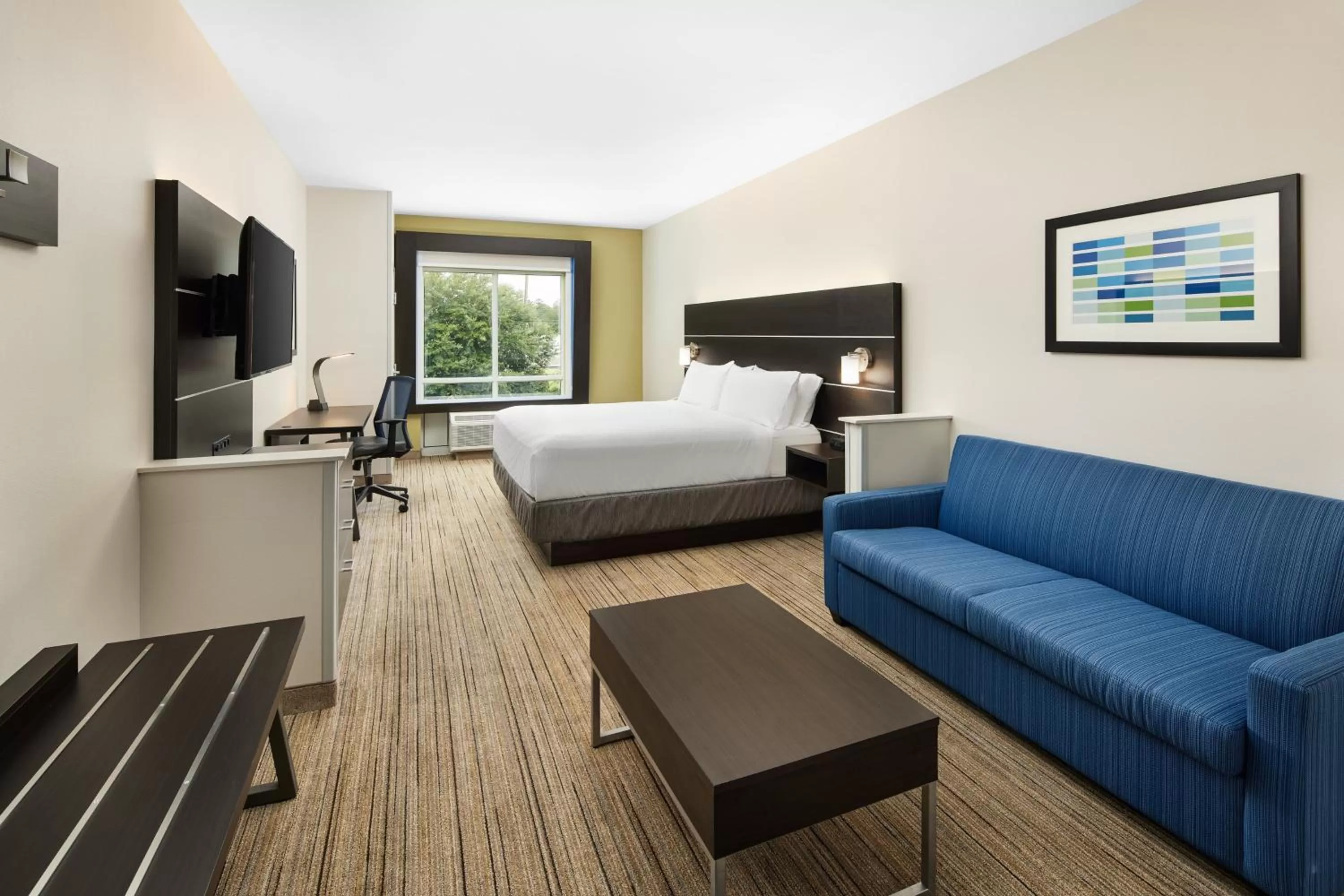Deluxe Suite - Mobility Accessible - Non-Smoking in Holiday Inn Express & Suites - Valdosta by IHG