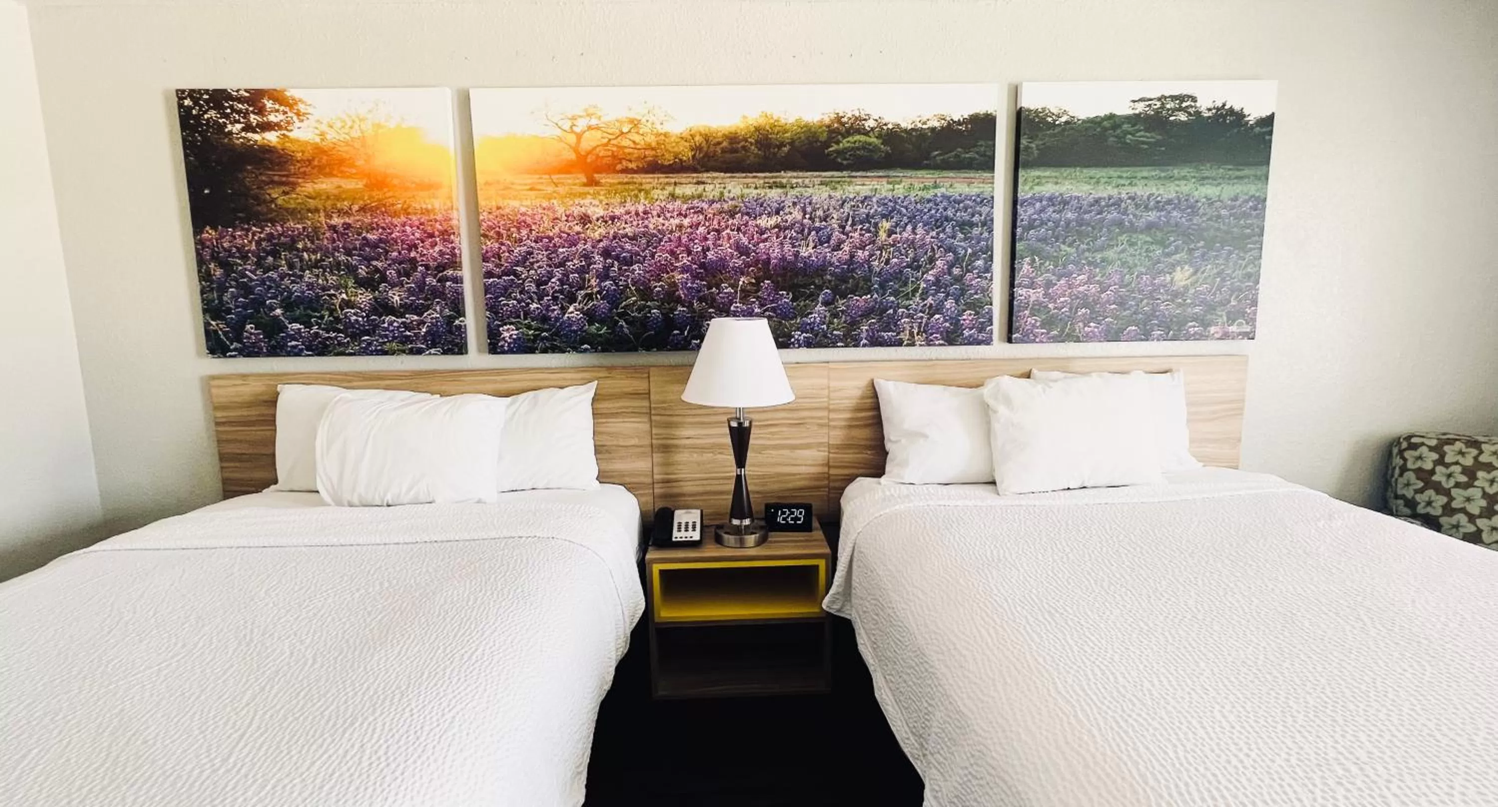 Queen Room with Two Queen Beds- Disability Access - Non-Smoking in Days Inn & Suites by Wyndham - Canton First Monday Trade Days