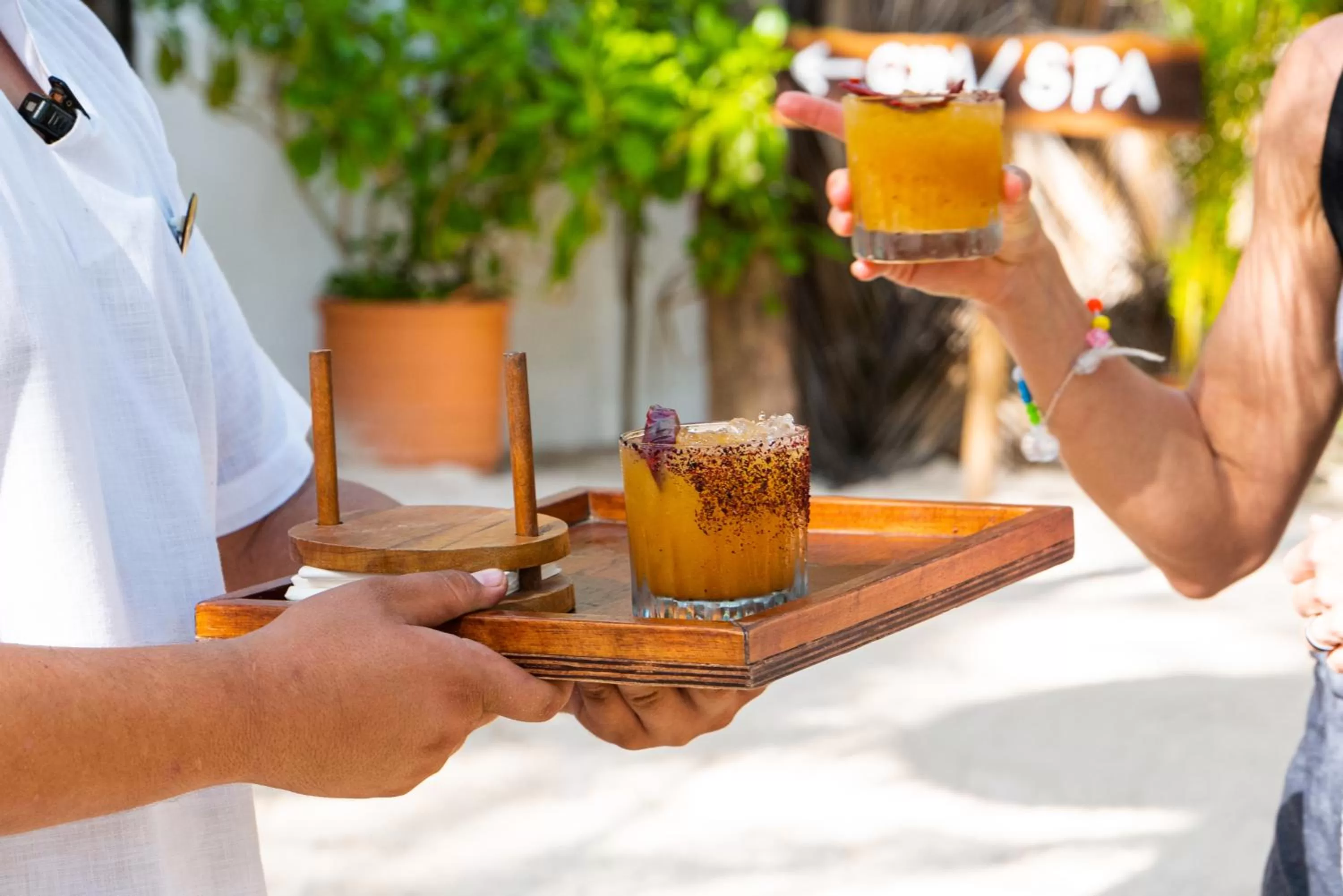 Alcoholic drinks in The Beach Tulum Hotel