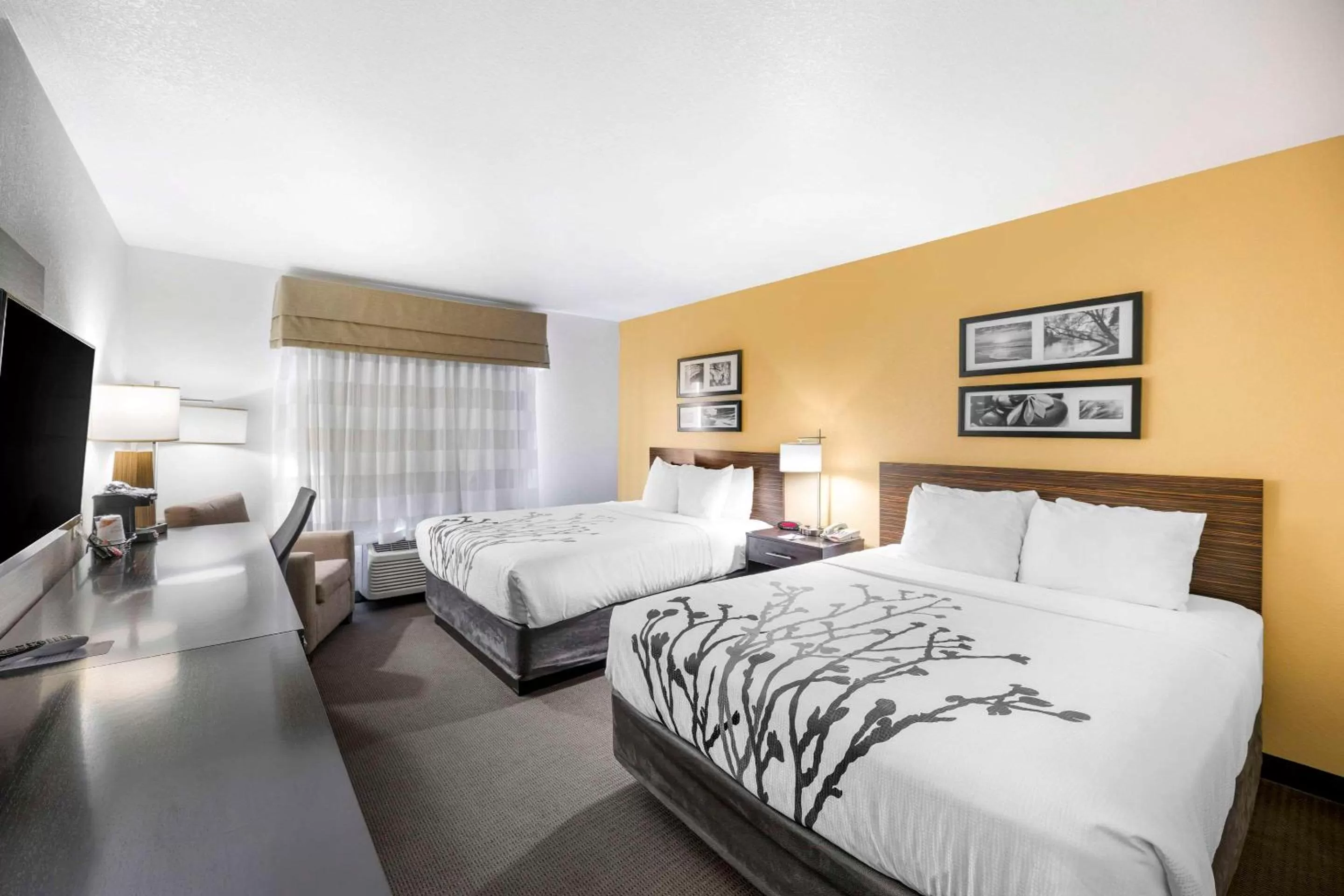 Standard Queen Room with Two Queen Beds - Non-Smoking in Sleep Inn & Suites Carlsbad Caverns Area