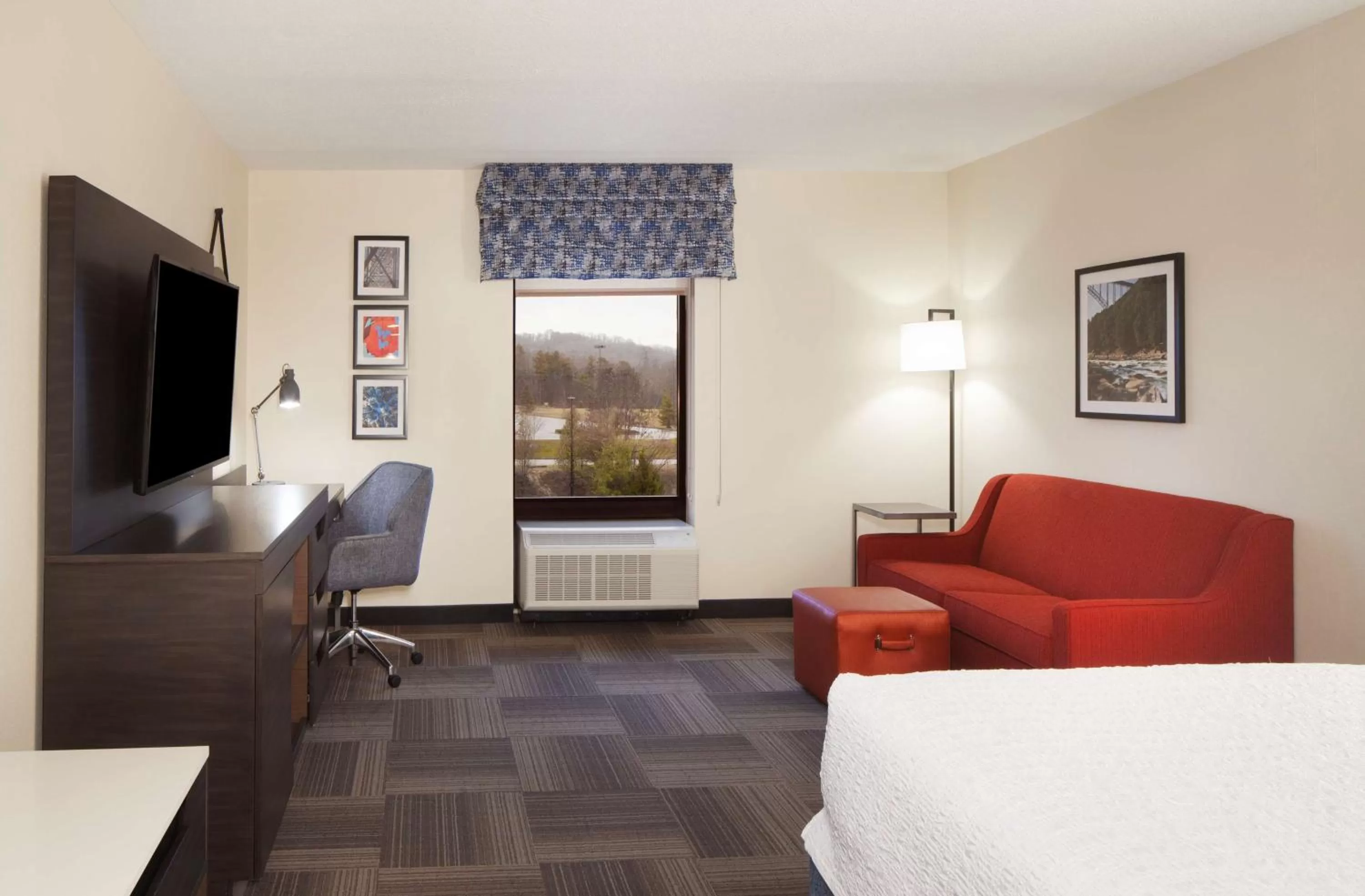 King Studio - Hearing Accessible  in Hampton Inn Charleston-Southridge