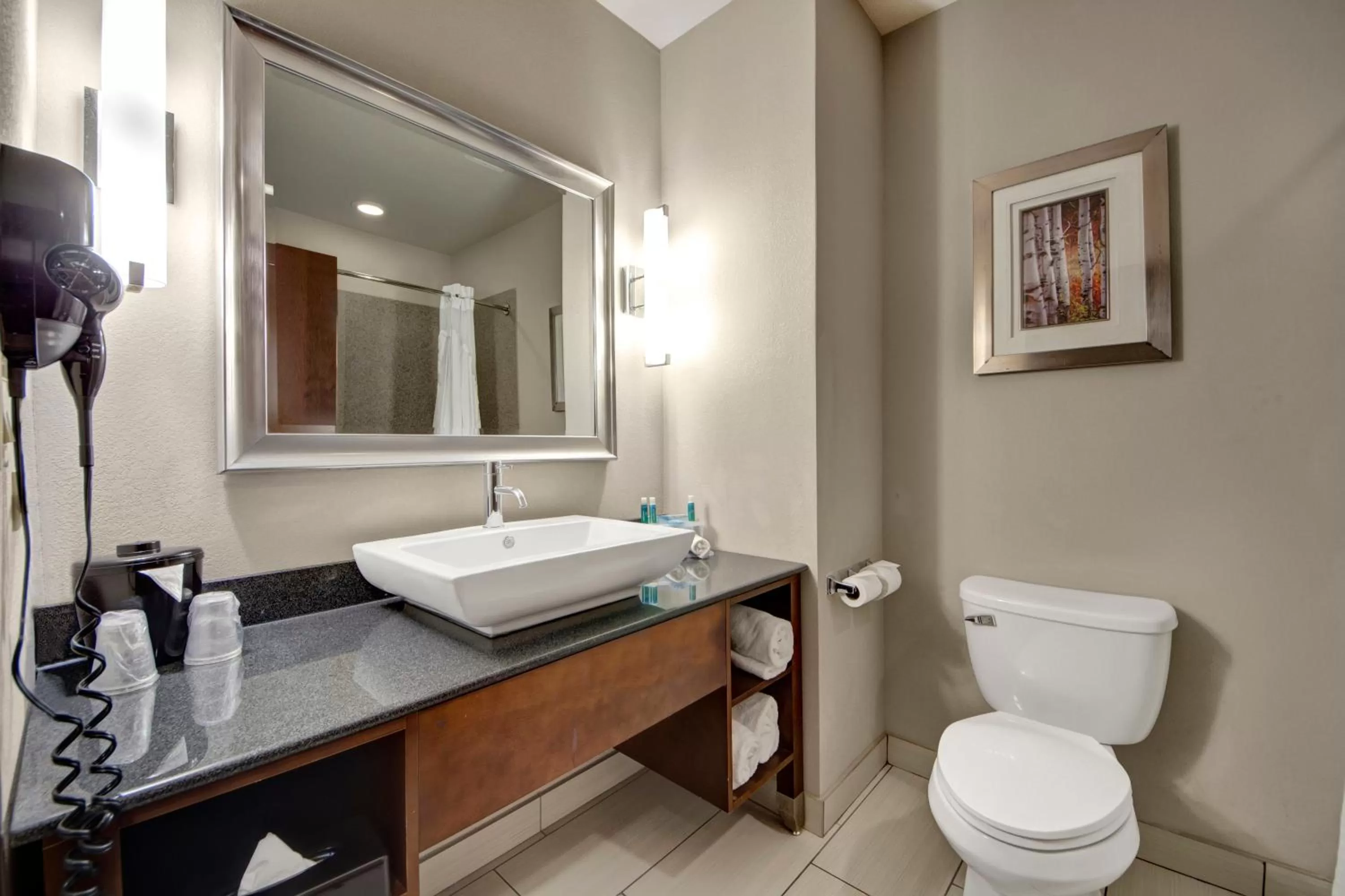 Standard King Room in Holiday Inn Express and Suites Oklahoma City North by IHG
