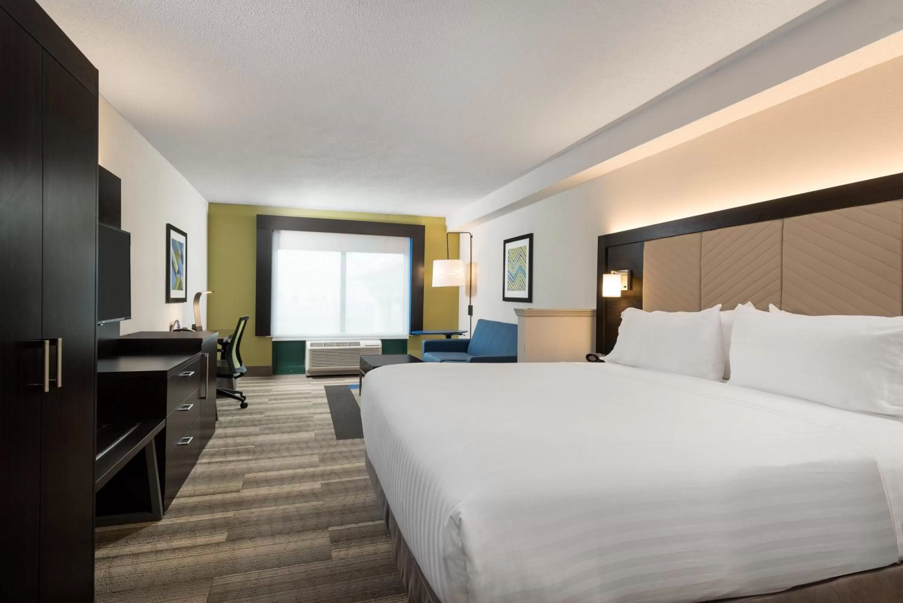 King Suite with Sofa Bed in Holiday Inn Express & Suites Florence I-95 & I-20 Civic Ctr by IHG