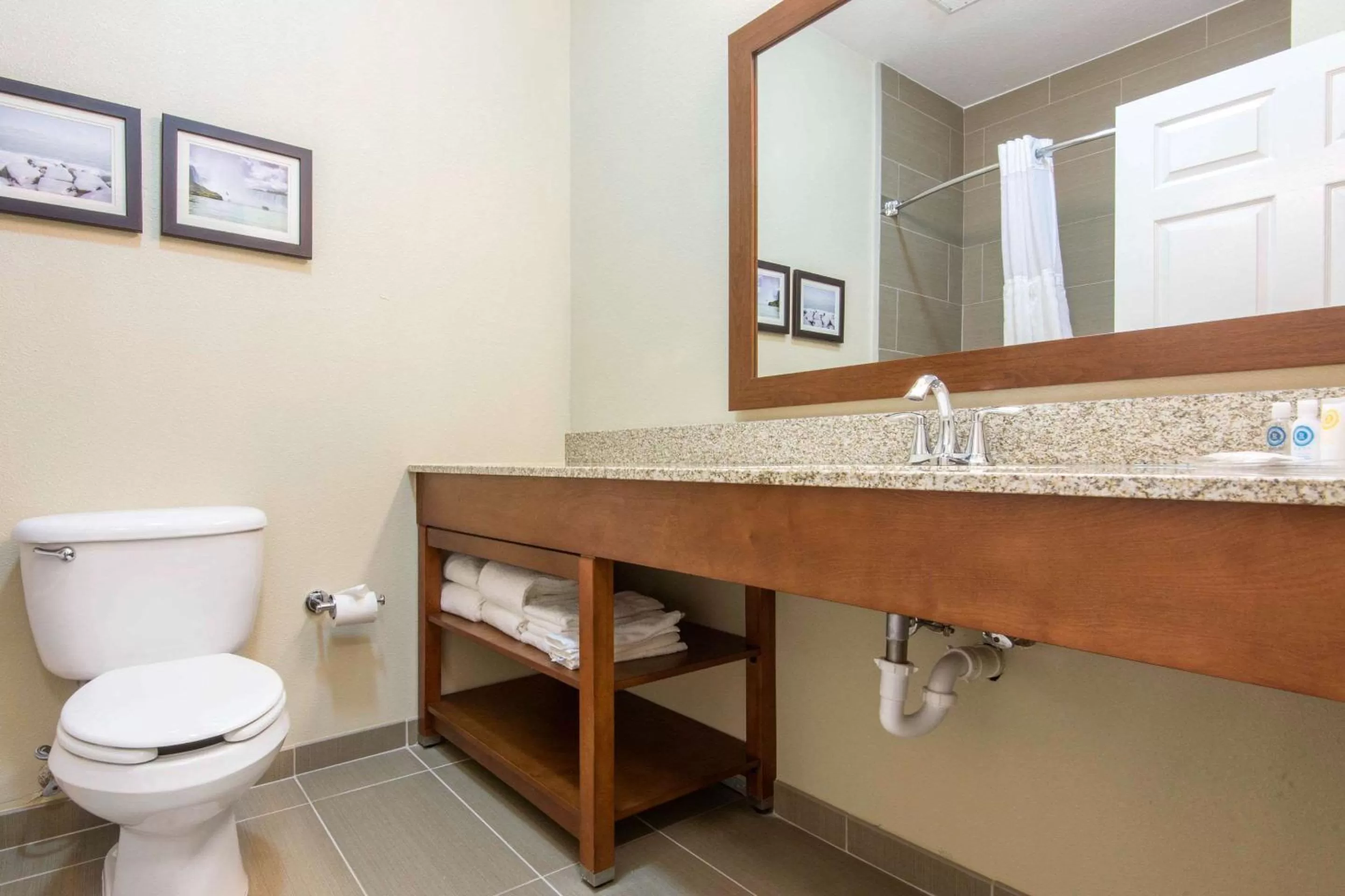 King Suite with Accessible Bath Tub - Non-Smoking in Comfort Suites Rochester Henrietta University Area