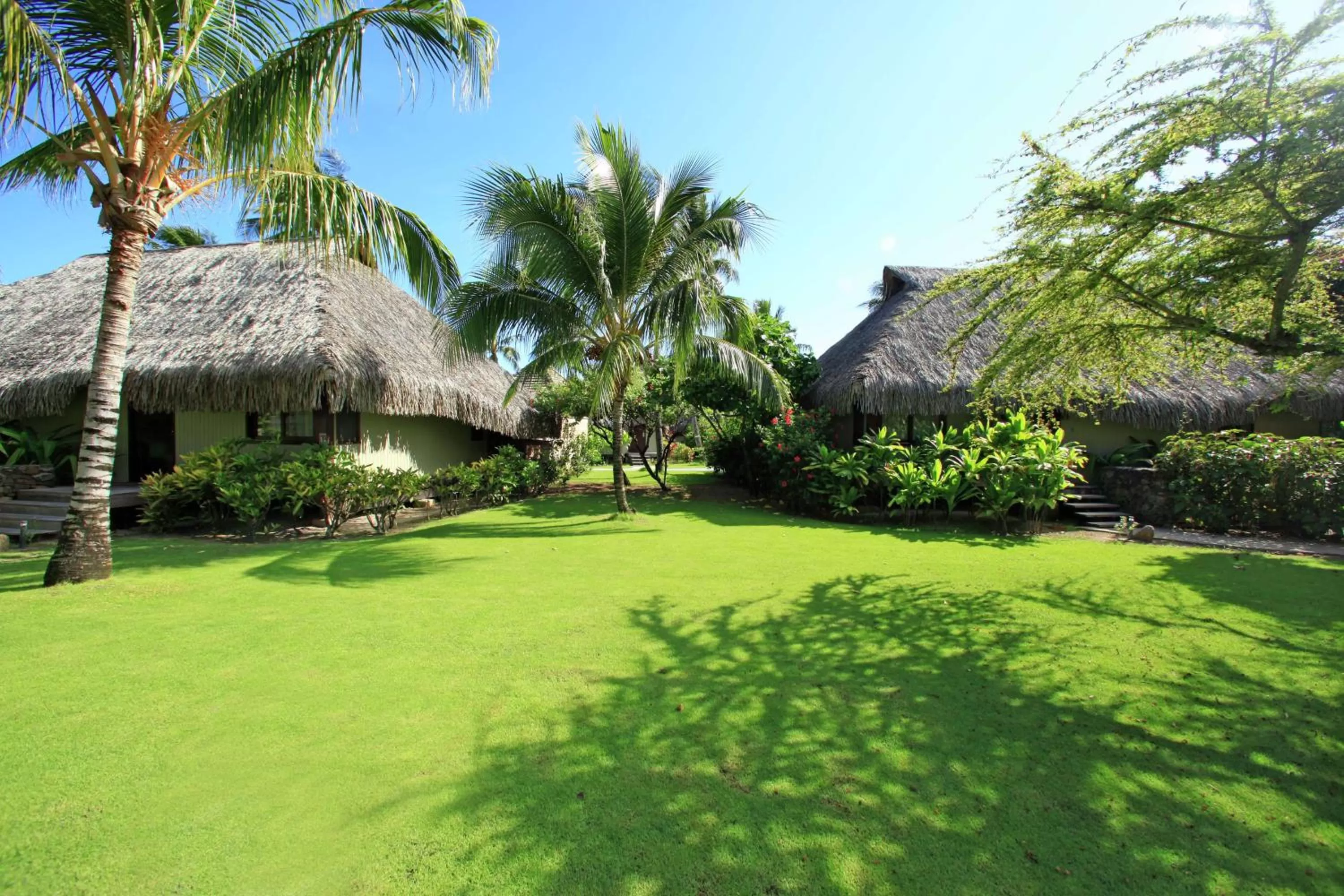 King Deluxe Garden Bungalow with Private Pool in Hilton Moorea Lagoon Resort & Spa