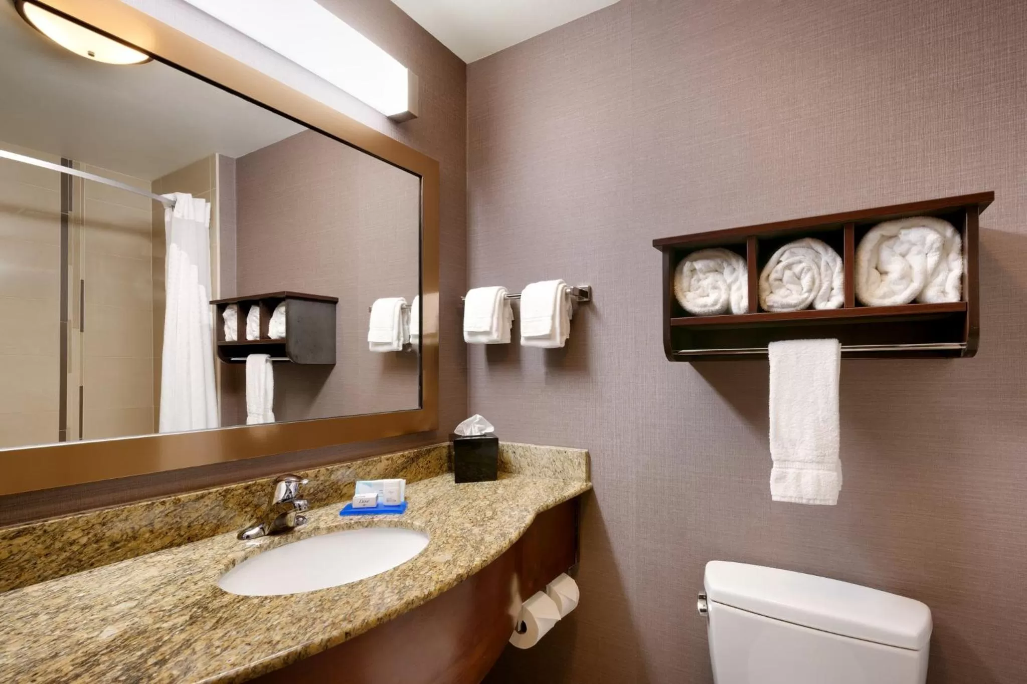 One-Bedroom King Suite in Holiday Inn Express Hotel & Suites Billings by IHG