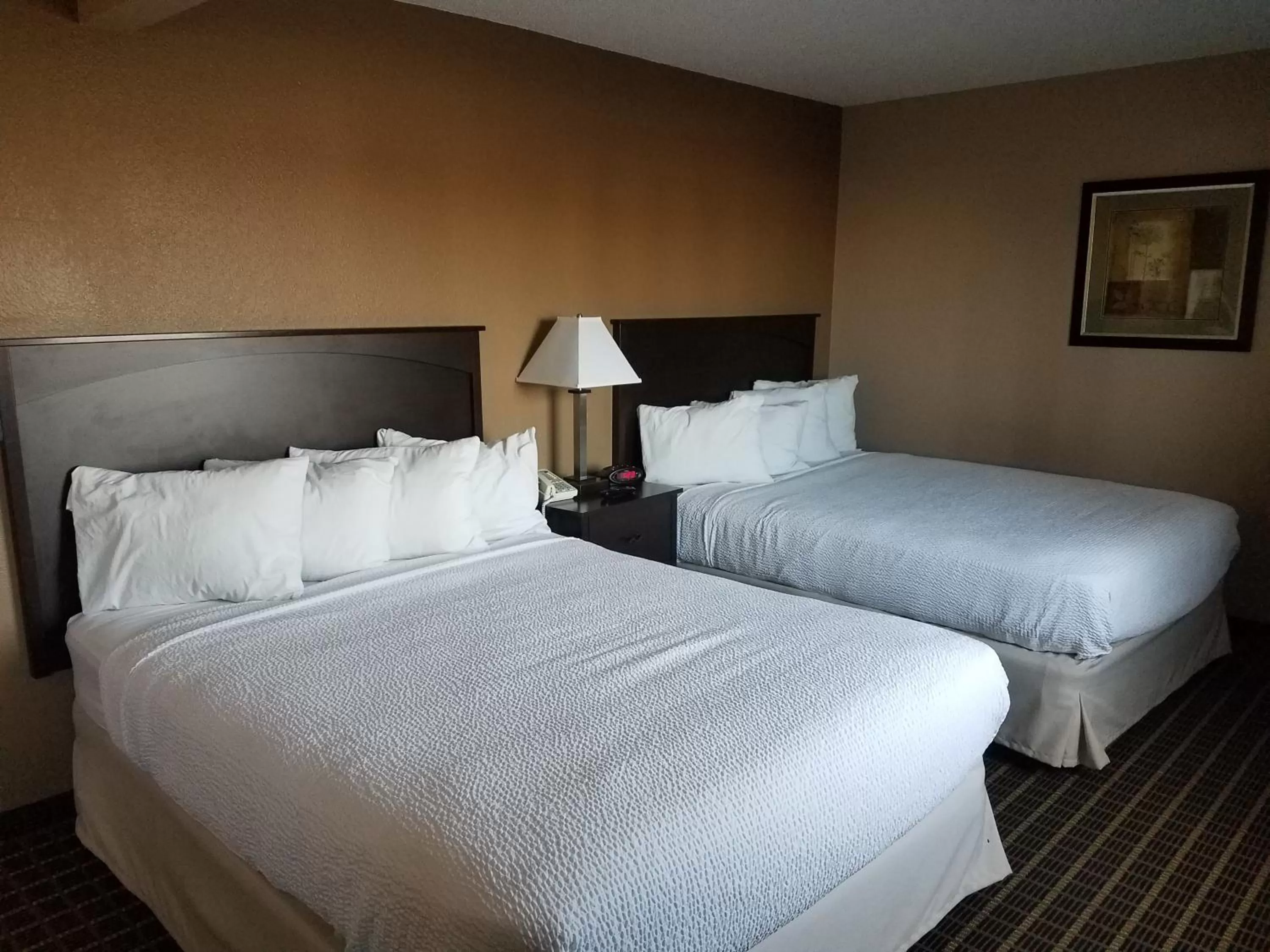 Two Queen Beds Executive Non-Smoking in Americas Best Value Inn and Suites Bismarck