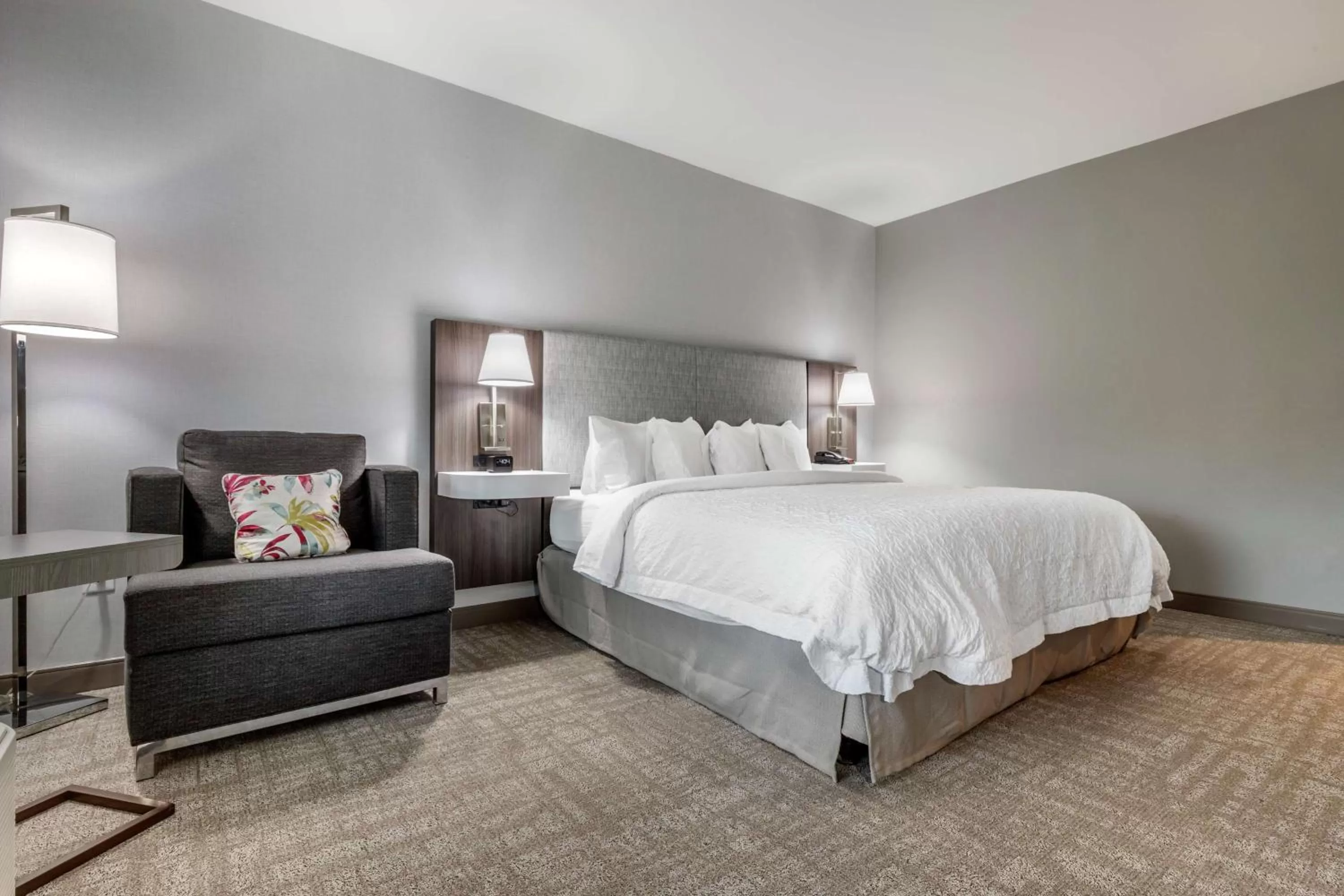 King Room - Hearing Access/Non-Smoking in Hampton Inn By Hilton Camden, Sc