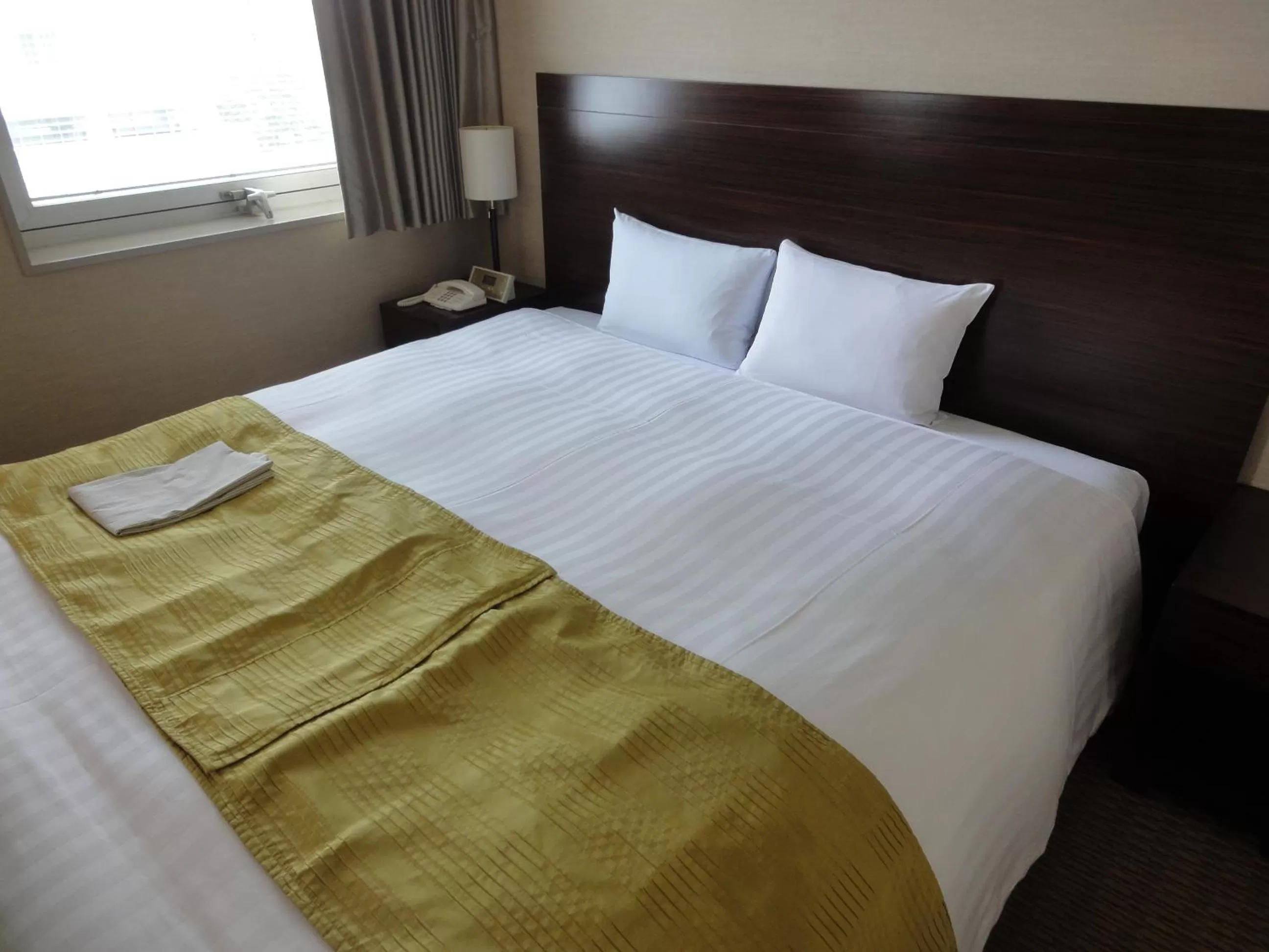 Double Room - single occupancy - Non-Smoking  in Hotel Nikko Tsukuba