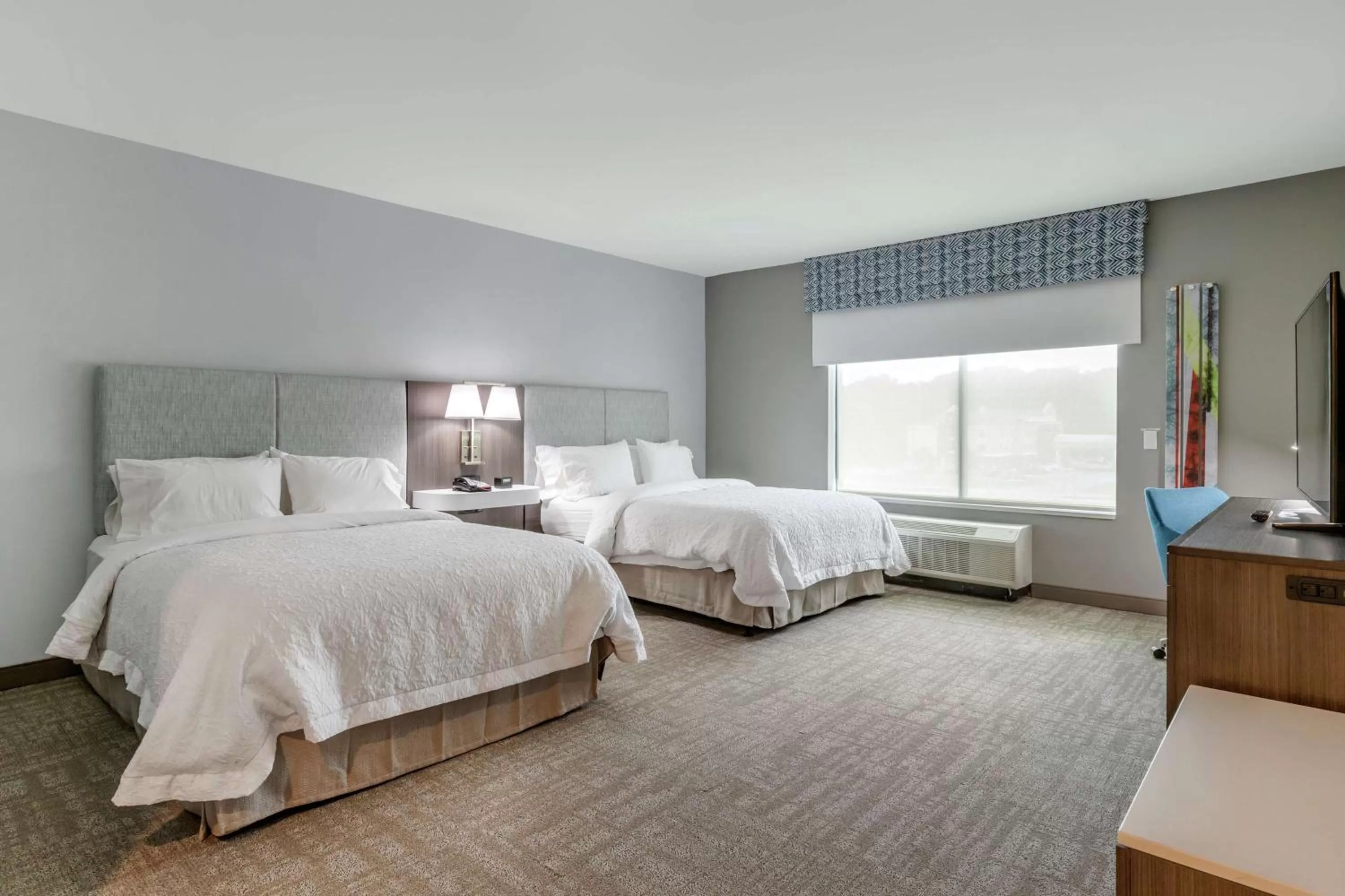 Queen Room with Bath Tub - Mobility Access/Non-Smoking in Hampton Inn Camden, SC