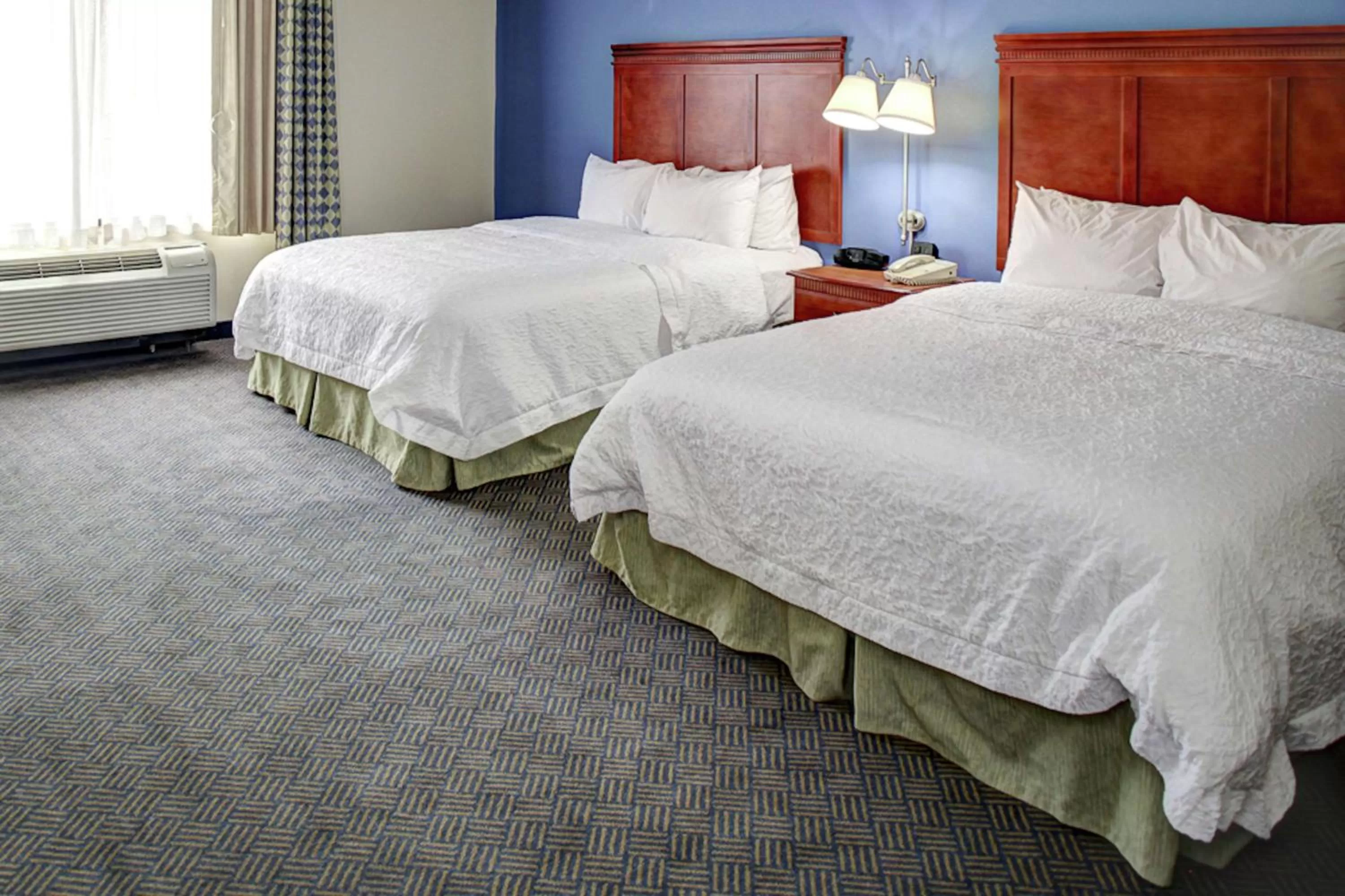 Queen Room with Two Queen Beds - Mobility and Hearing Access/Non-Smoking in Hampton Inn Coldwater