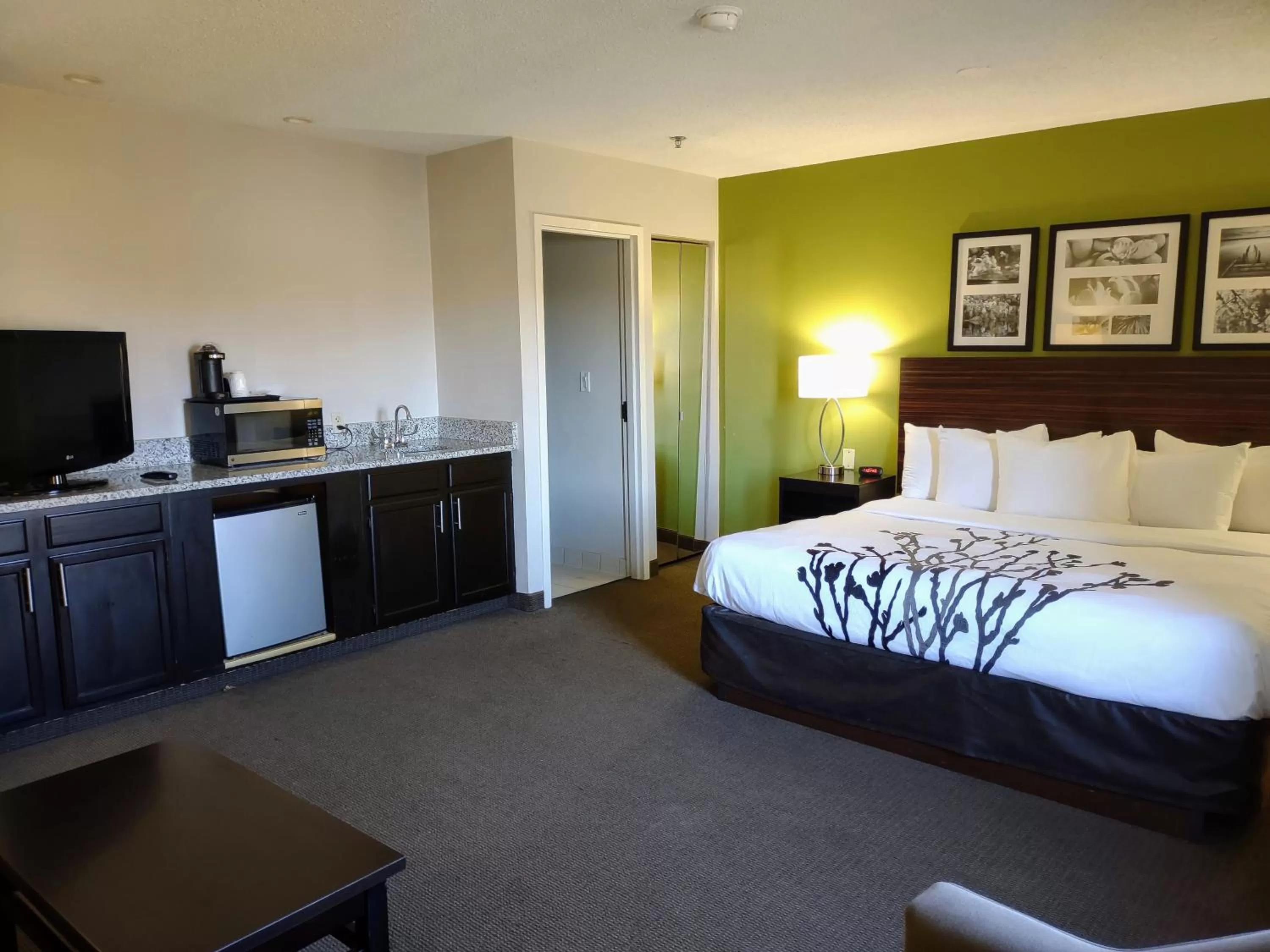 King Suite with Sofa Bed - Non Smoking in Sleep Inn Fredericksburg