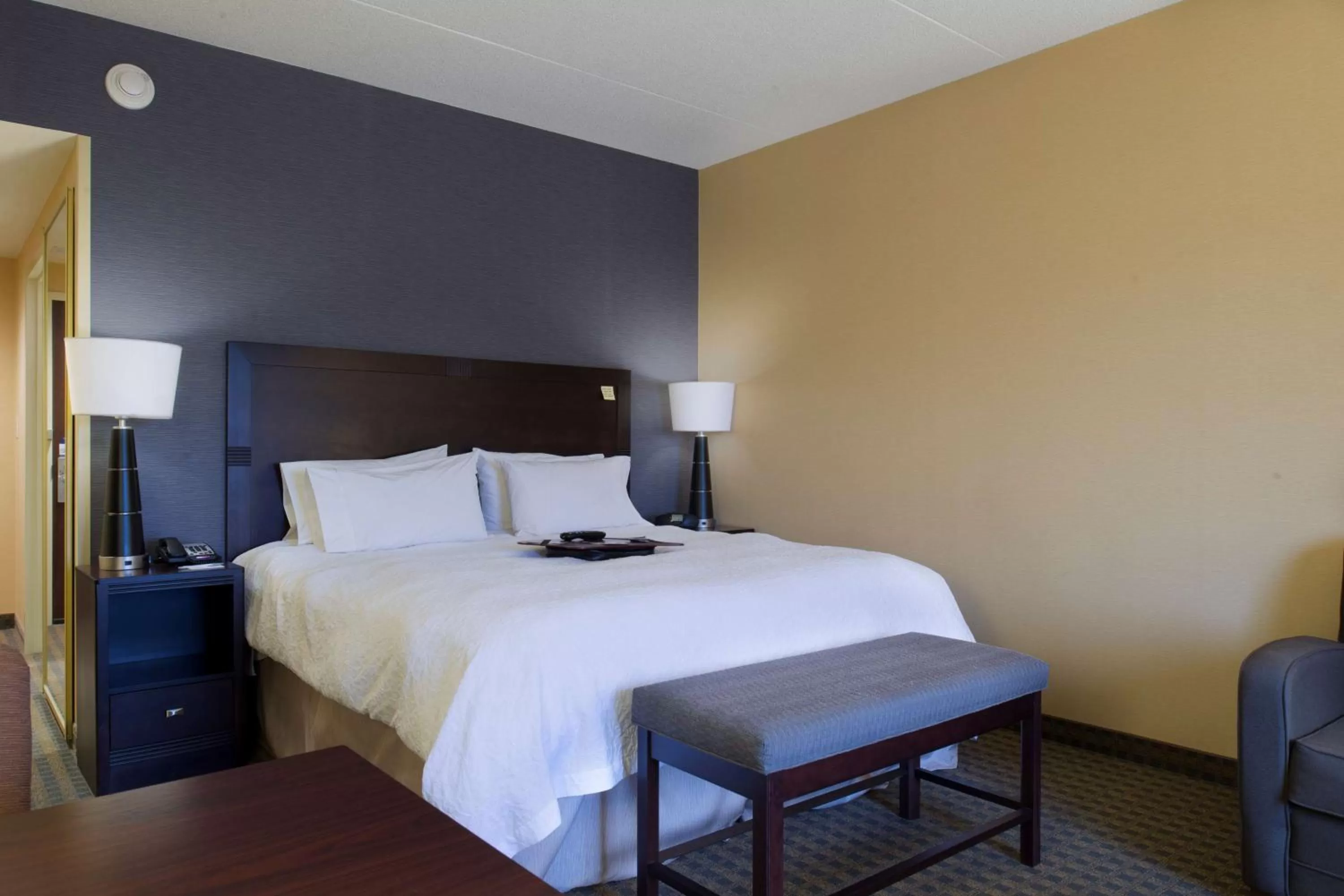 King Room with Sofa Bed - Hearing Accessible/Non-Smoking in Hampton Inn & Suites Vineland