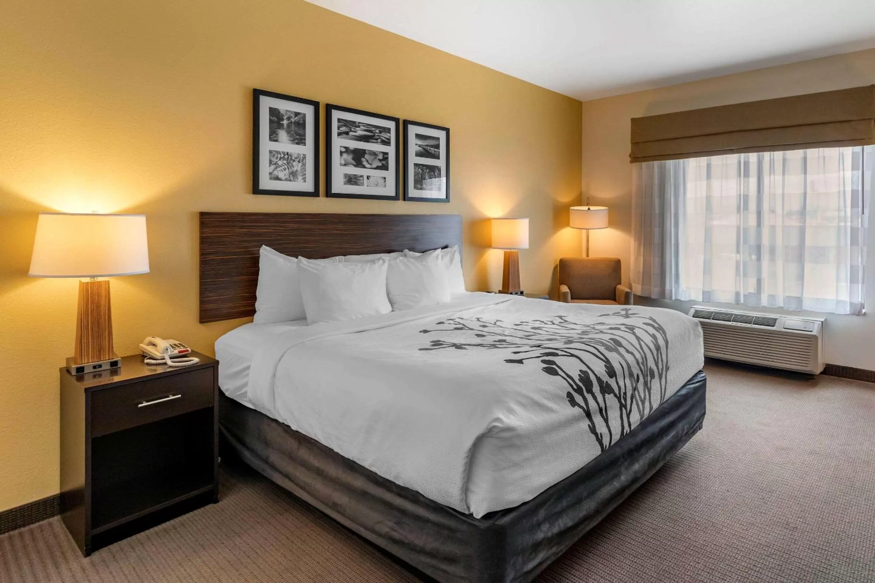 King Room - Non-Smoking in Sleep Inn & Suites Miles City I-94