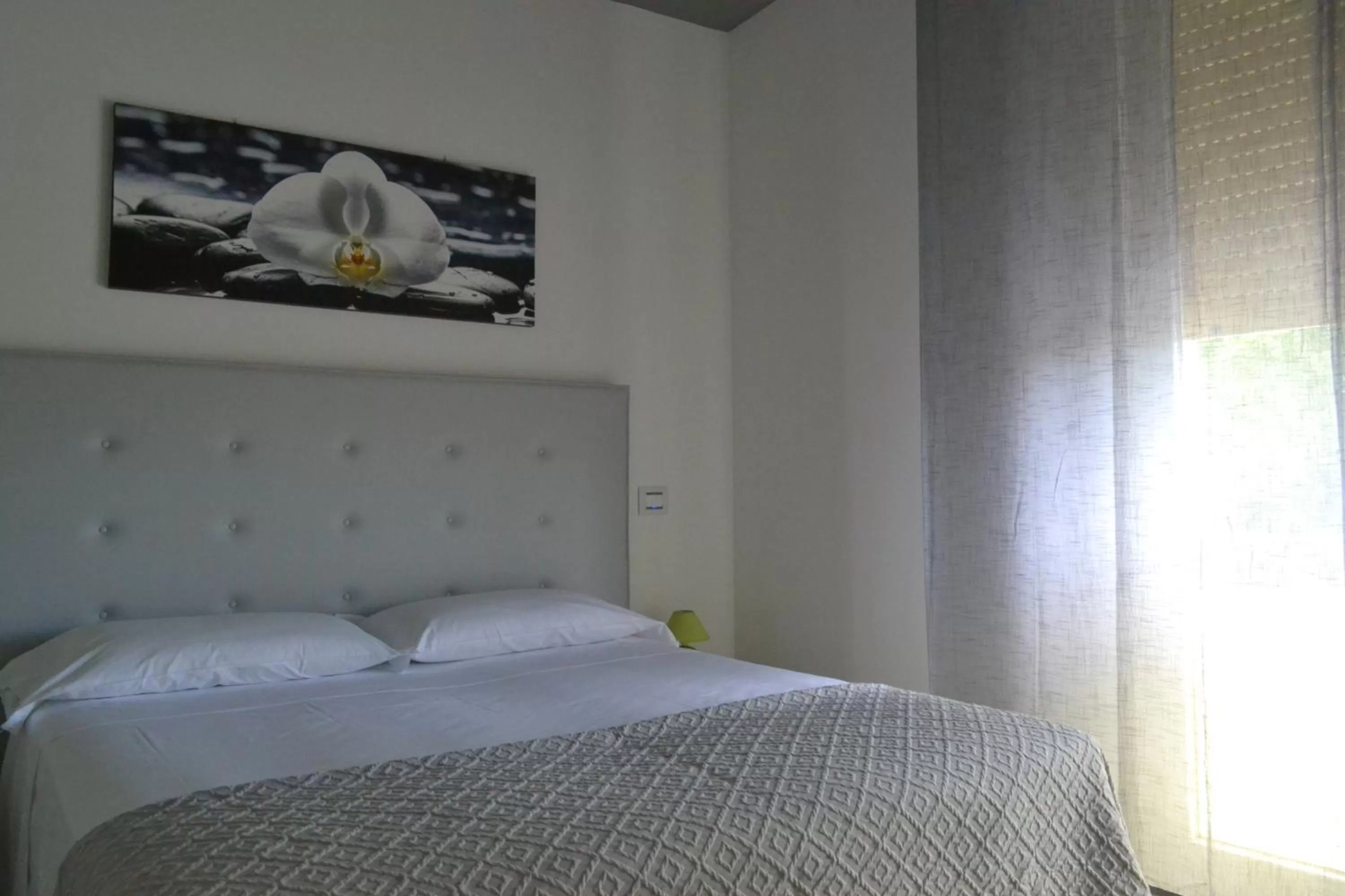 Junior Suite in Hotel Panorama