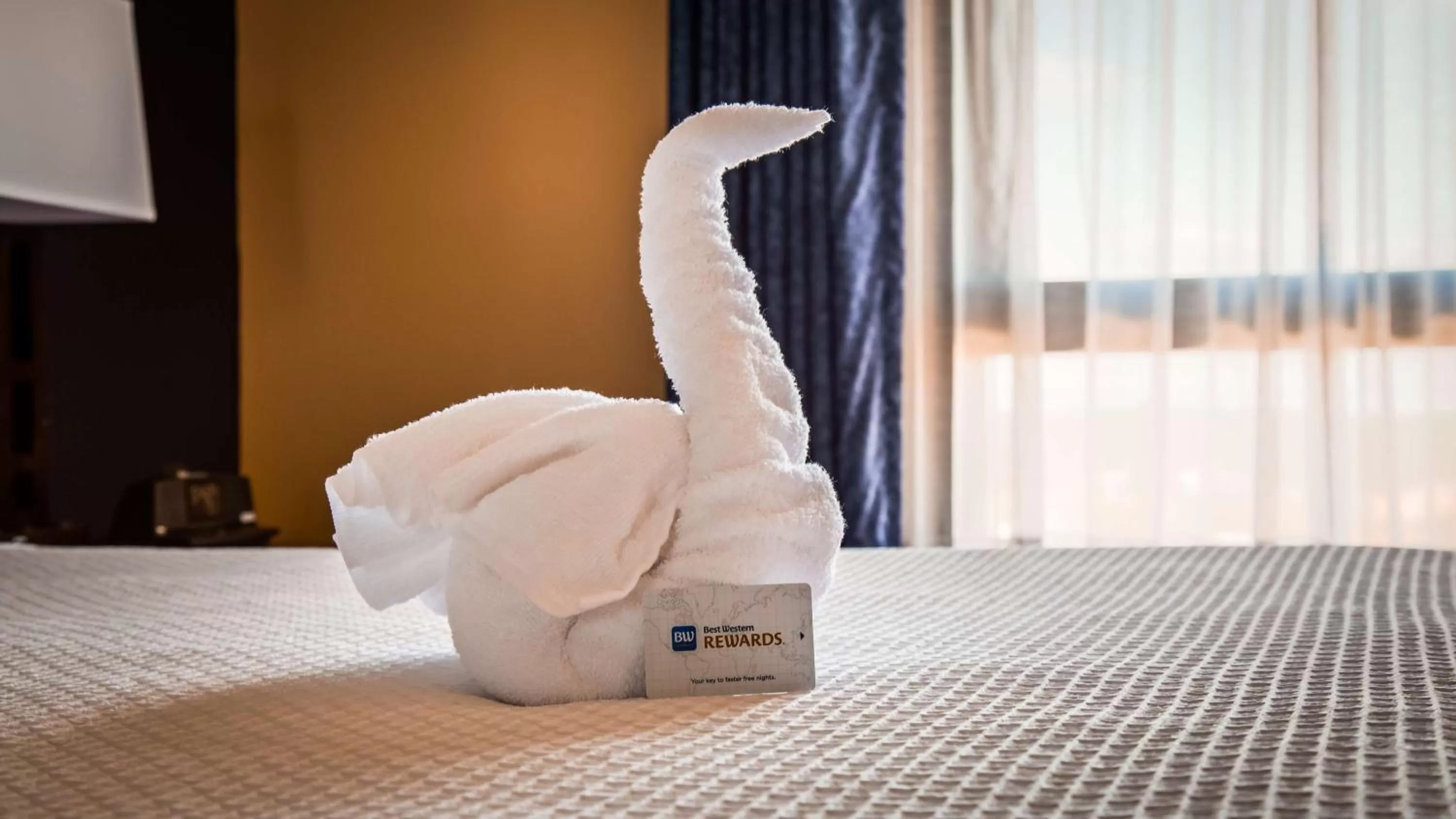 Queen Room with Roll-In Shower - Disability Access in Best Western Potomac Mills