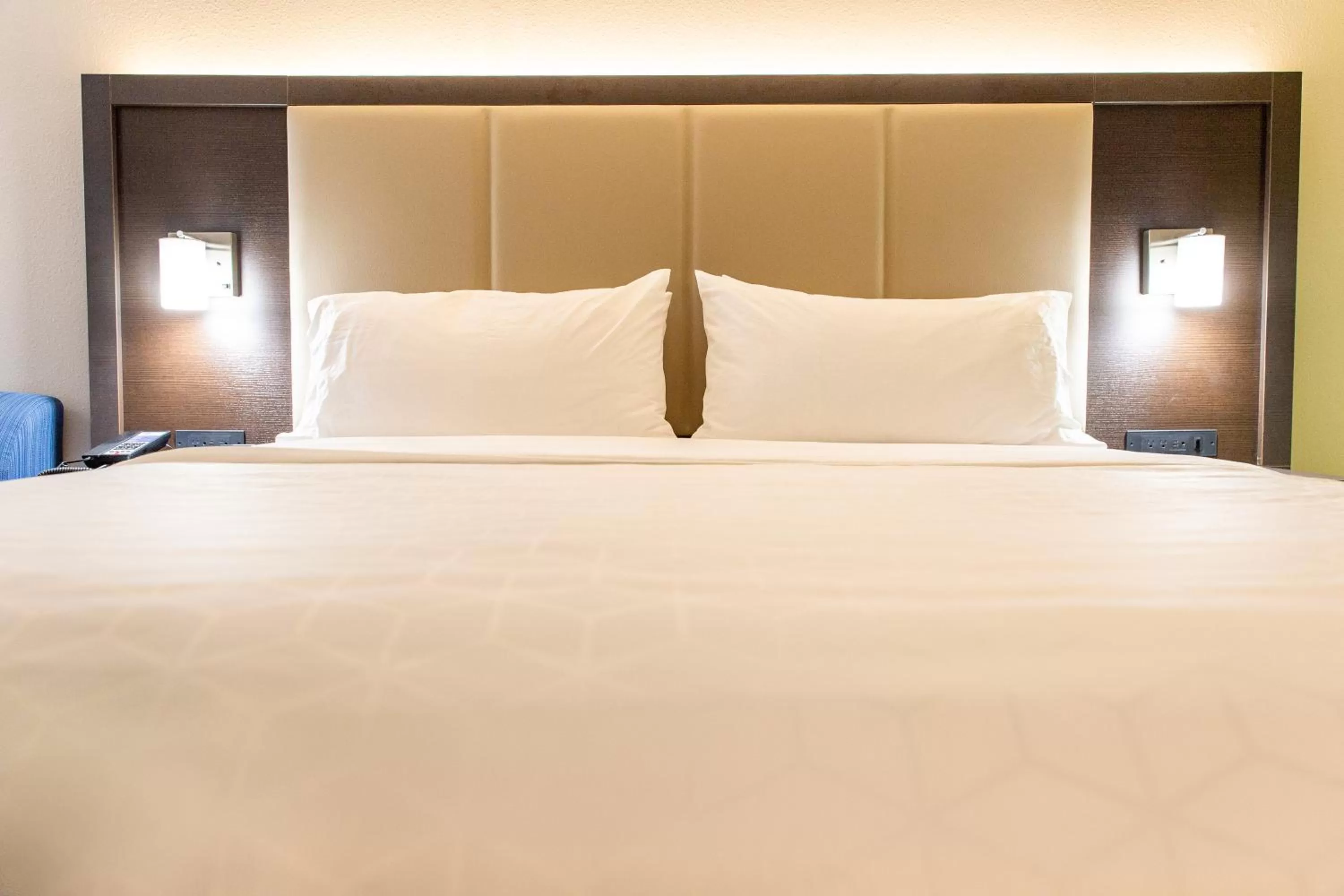 King Room - Hearing Accessible - Roll-in Shower in Holiday Inn Express - Columbus - Dublin, an IHG Hotel