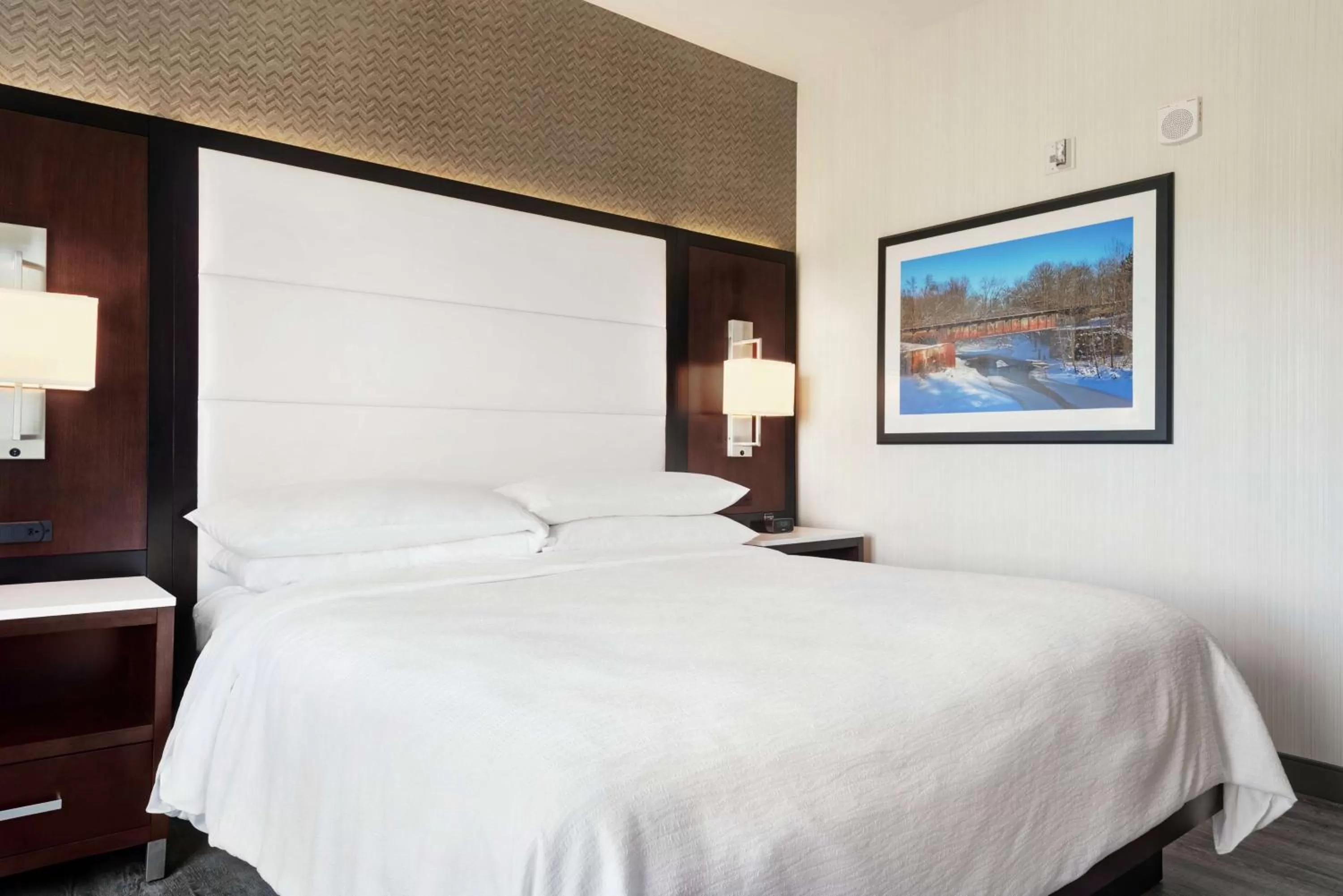 One-Bedroom King Suite - Hearing Access/Non-Smoking in Embassy Suites By Hilton Noblesville Indianapolis Conv Ctr