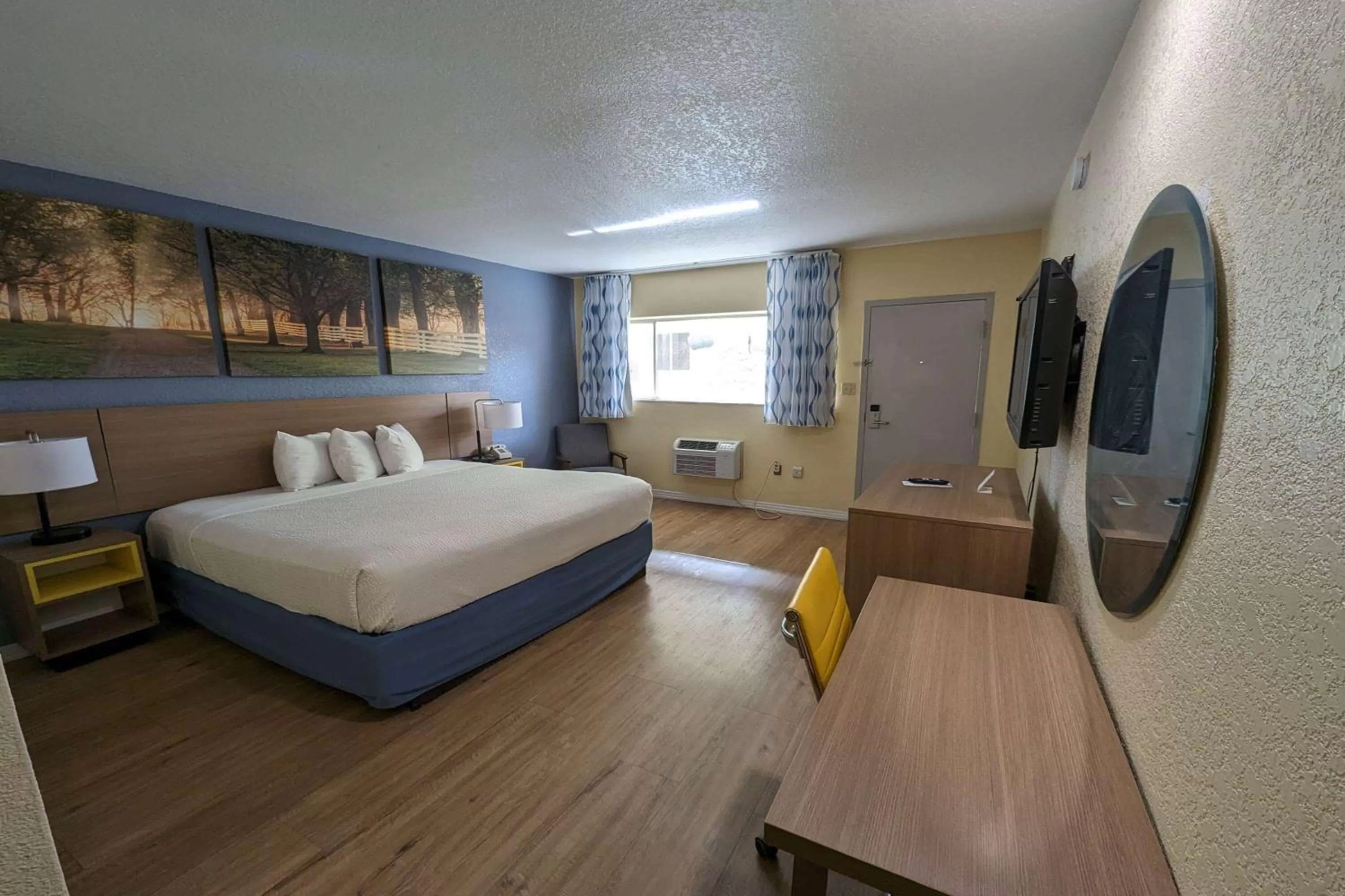 King Room, Mobility/Hearing Accessible, Roll-In Shower, Non-Smoking in University Inn