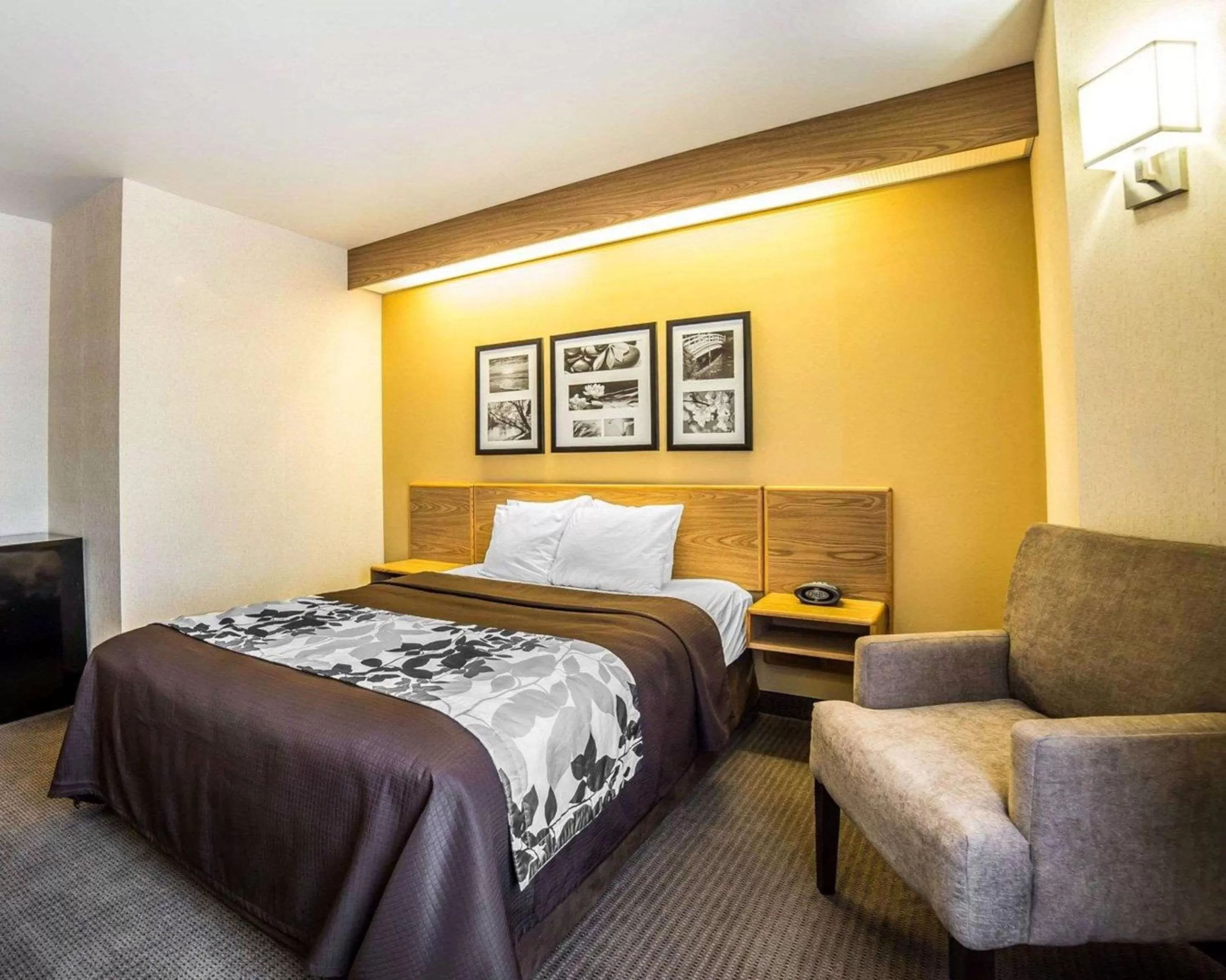 Queen Room - Accessible/Nonsmoking in Quality Inn Moab Slickrock Area