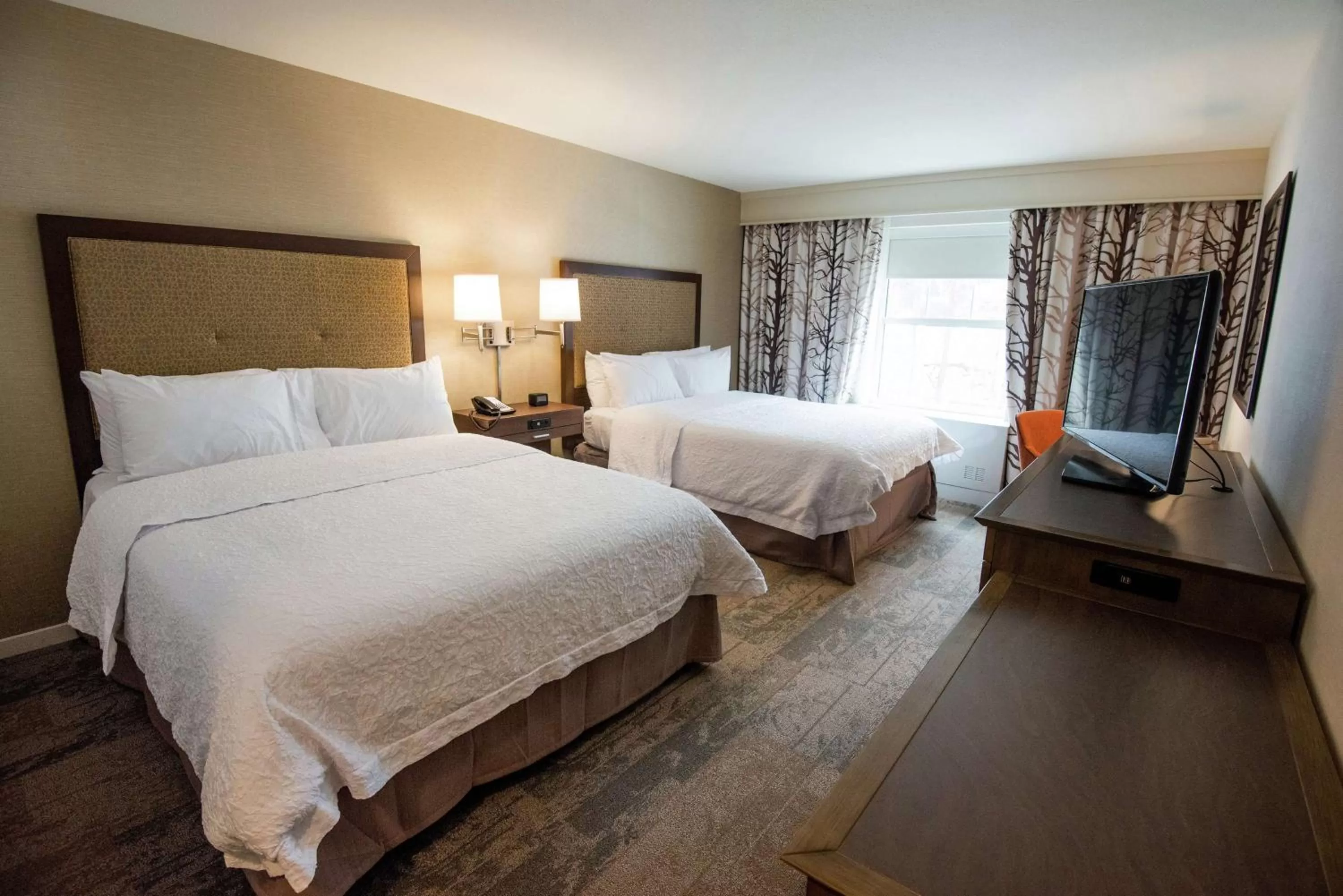 Queen Room with Two Queen Beds (4 Adults) in Hampton Inn & Suites Manchester, Vt