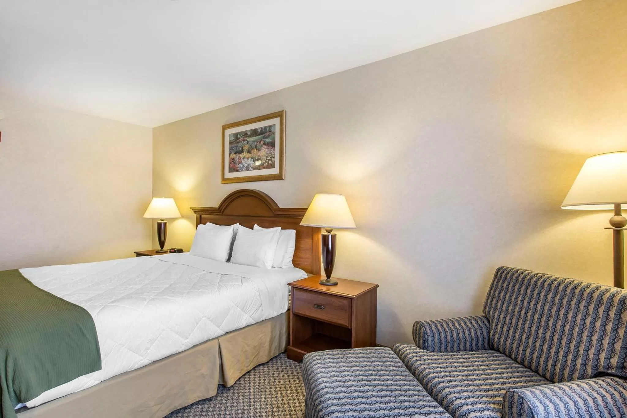 Standard King Room - Non-Smoking  in Oasis Inn and Suites Joshua Tree -29 Palms