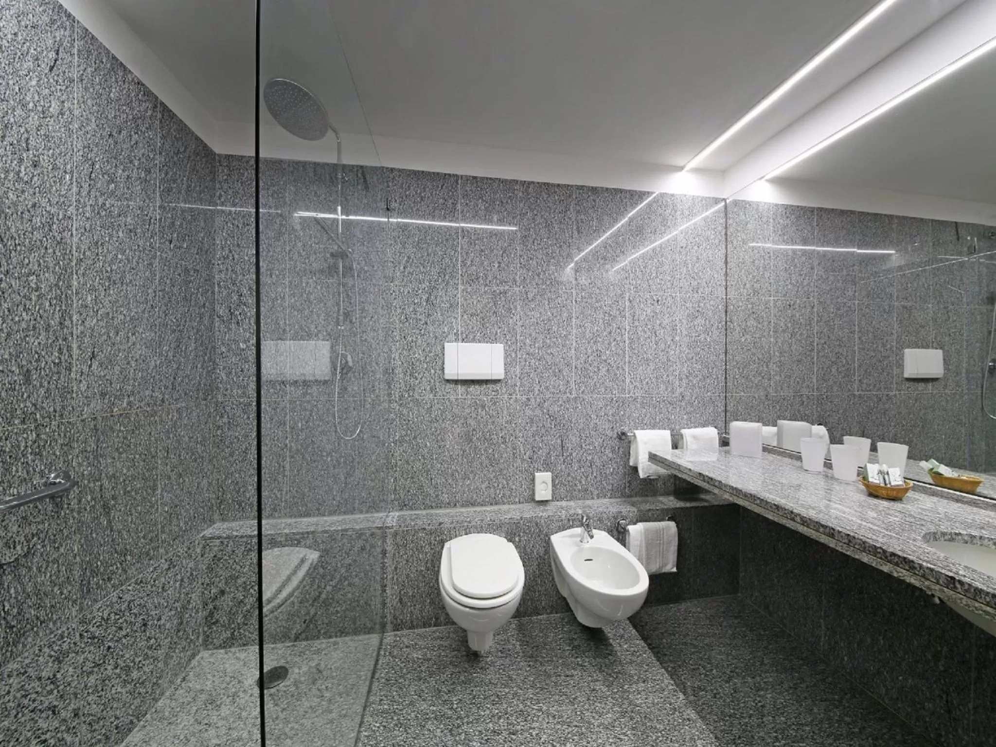 Prestige Double Room with Balcony and Lake View - single occupancy in Hotel Salò du Parc