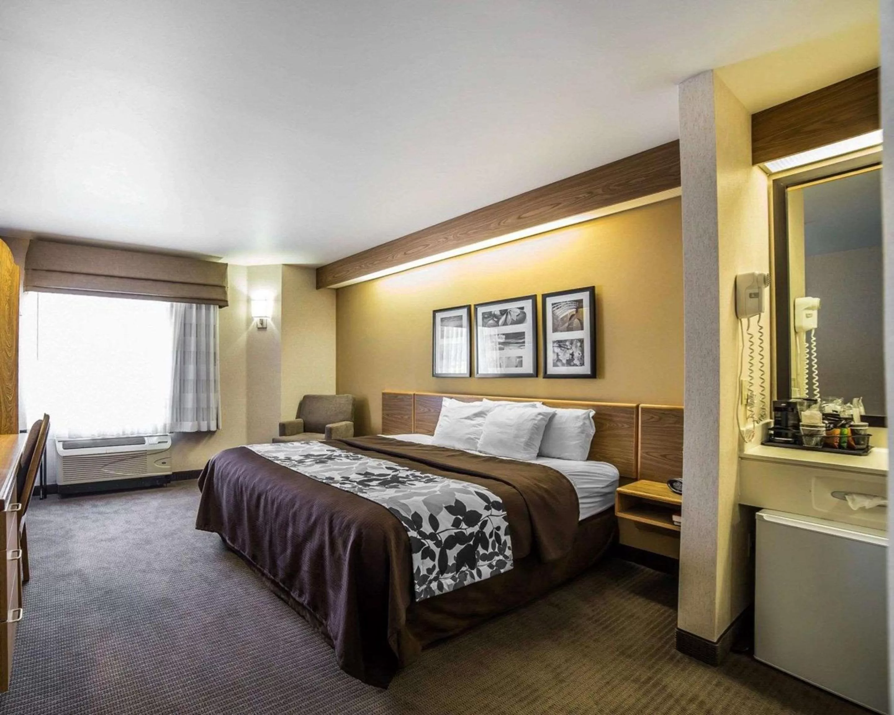 Queen Room - Accessible/Nonsmoking in Quality Inn Moab Slickrock Area