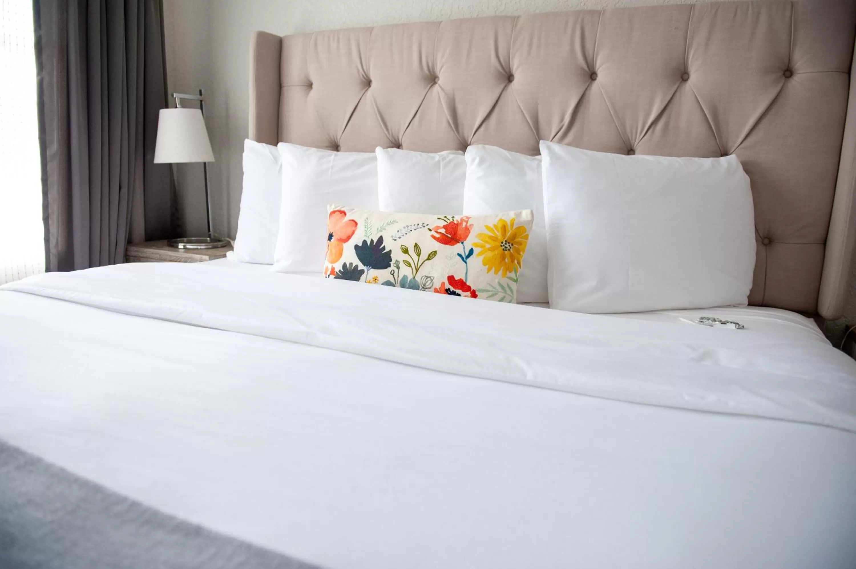 Superior Suite in Artisan Downtown