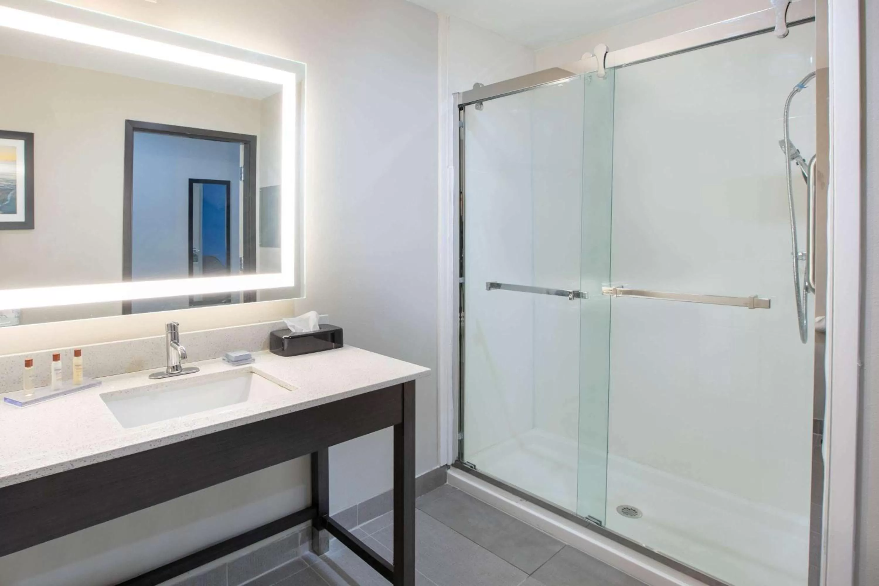 Queen Studio Suite - Mobility Access/Tub w/Grab Bars/Non-Smoking in Wingate by Wyndham Corpus Christi