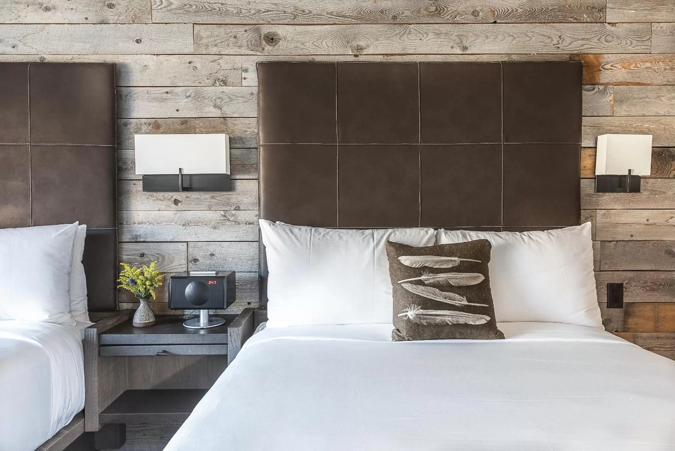 Superior Double Queen with View Room - single occupancy in Hotel Jackson